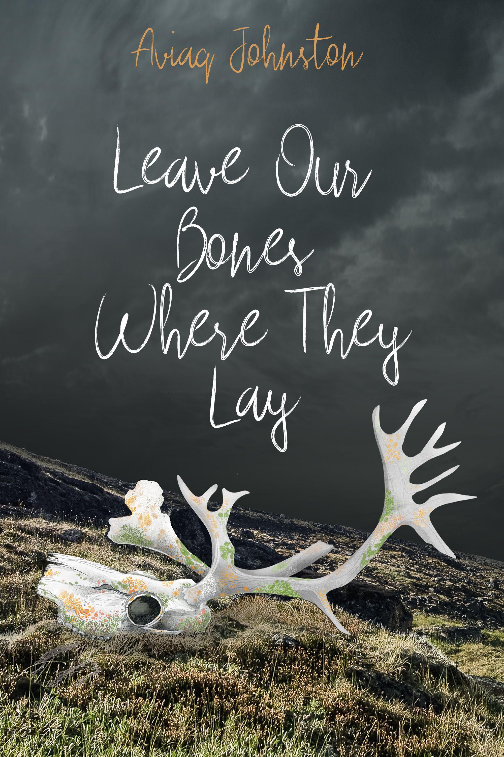Vorderes Coverbild Leave Our Bones Where They Lay