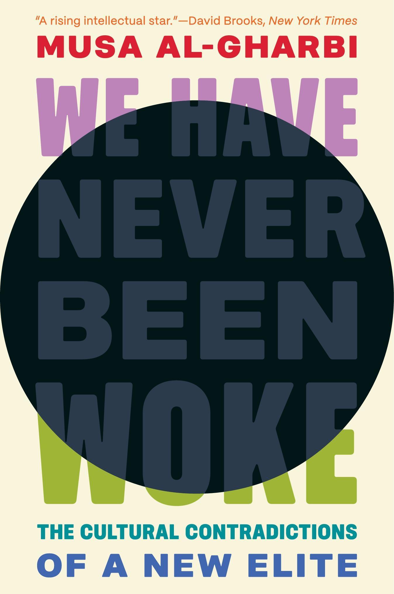 Vorderes Coverbild We Have Never Been Woke