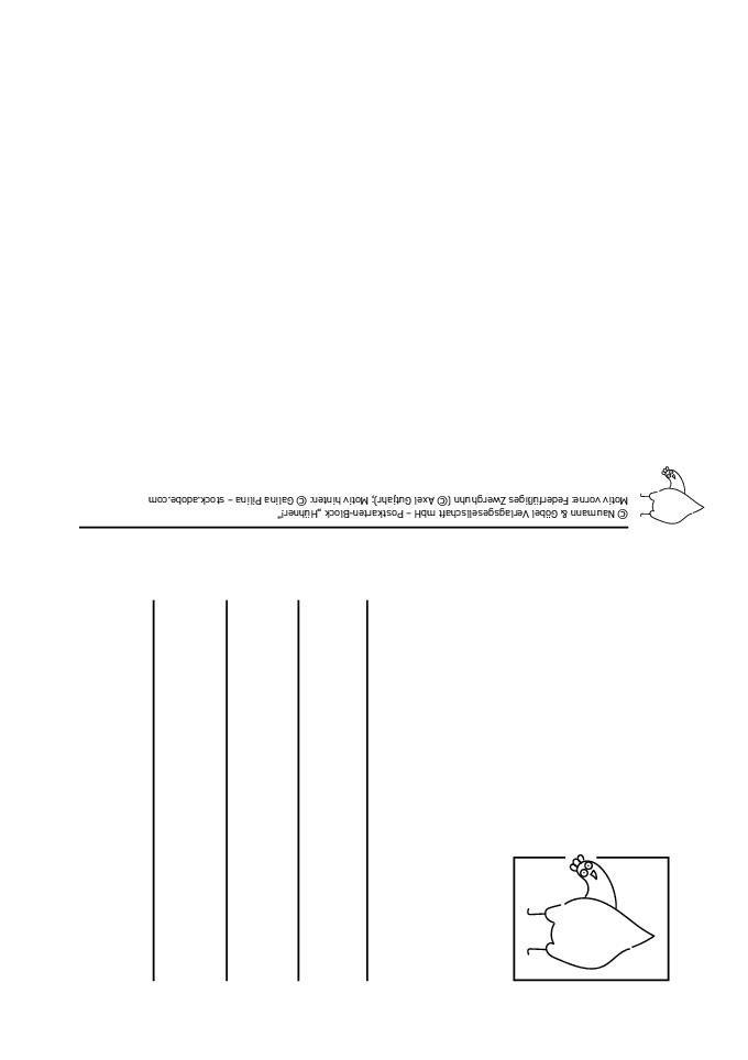 Beispielinhalt (Bild) Postkartenblock Hühner