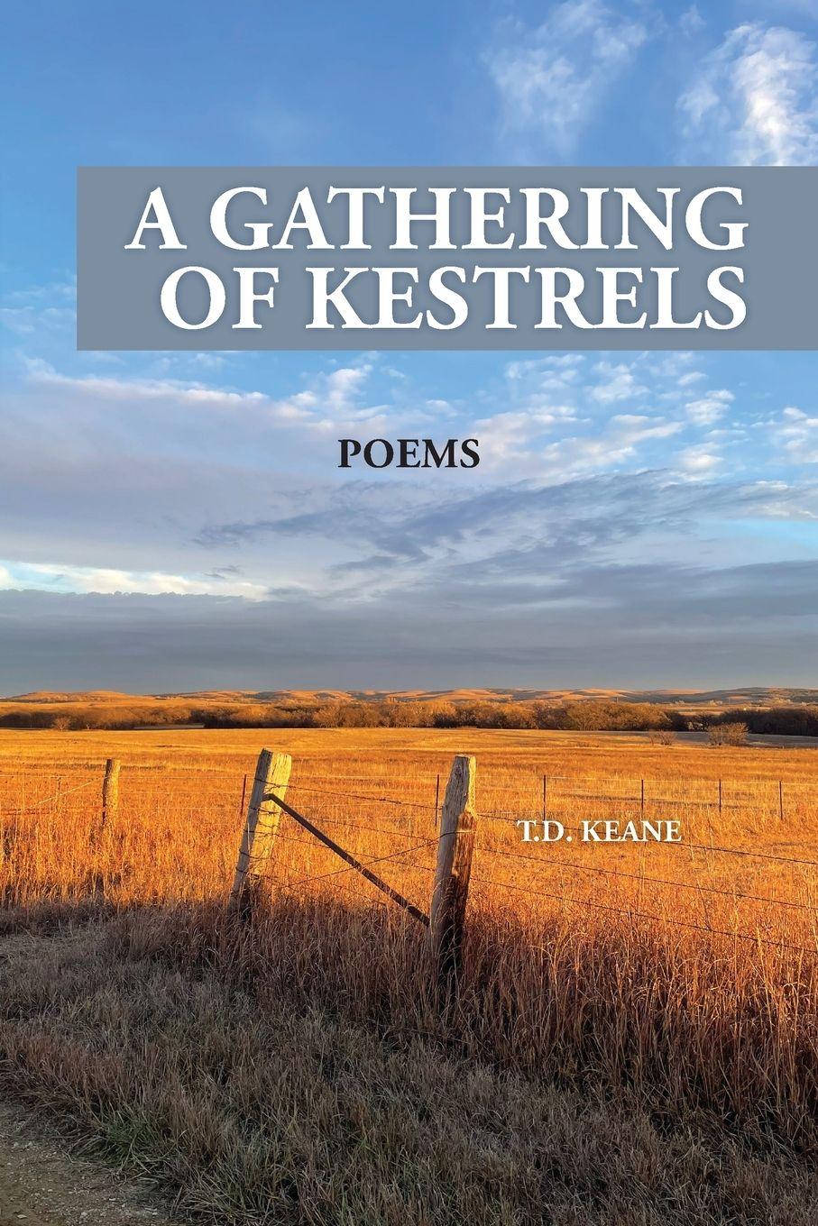Vorderes Coverbild A GATHERING OF KESTRELS