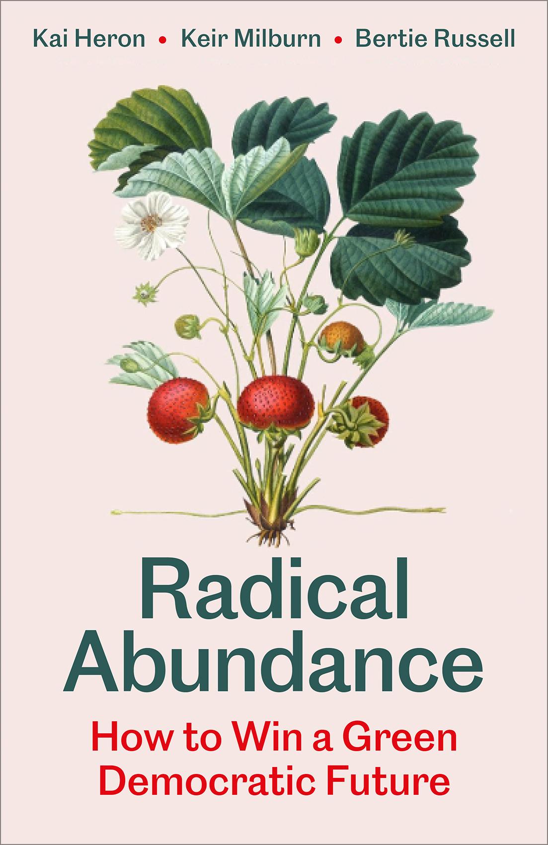 Vorderes Coverbild Radical Abundance