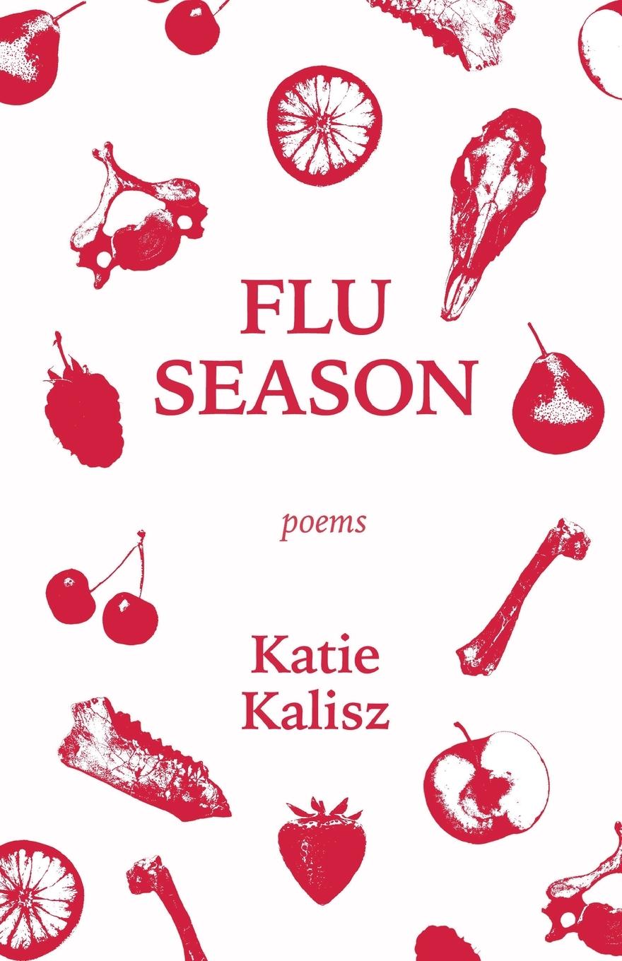 Vorderes Coverbild Flu Season