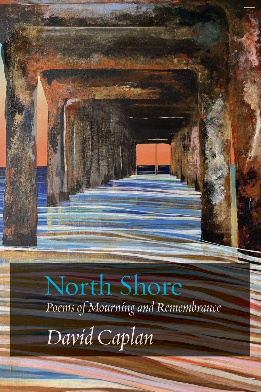 Vorderes Coverbild North Shore