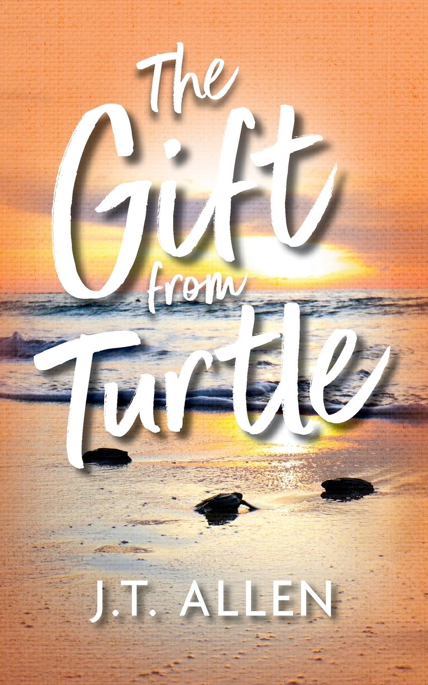 Vorderes Coverbild The Gift from Turtle