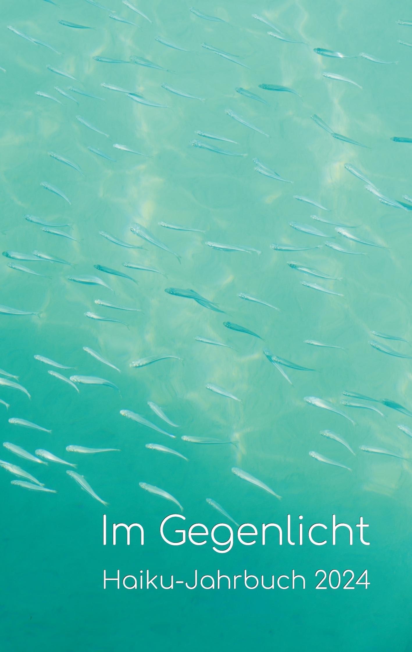 Vorderes Coverbild Im Gegenlicht