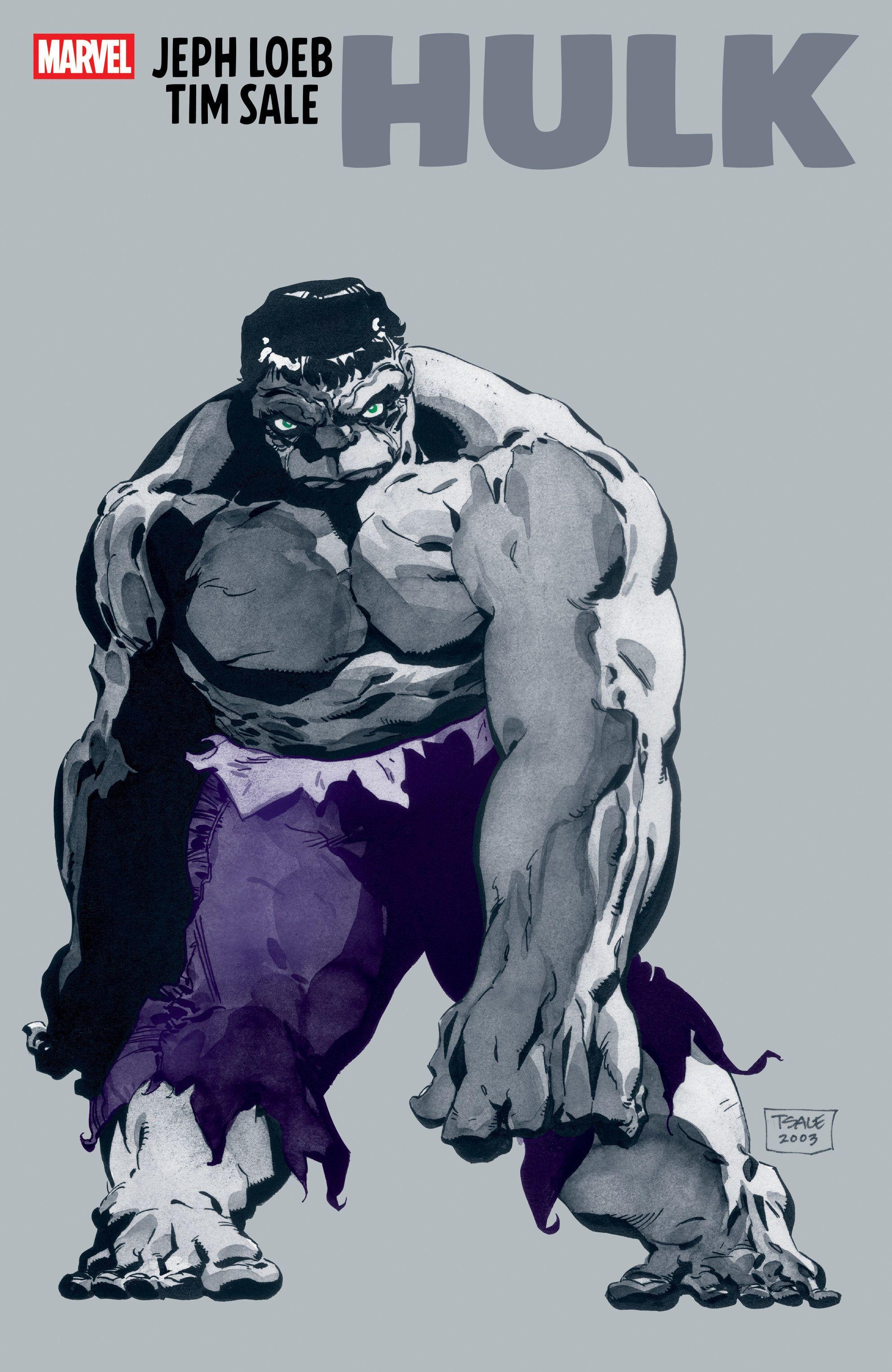 Vorderes Coverbild Jeph Loeb & Tim Sale: Hulk
