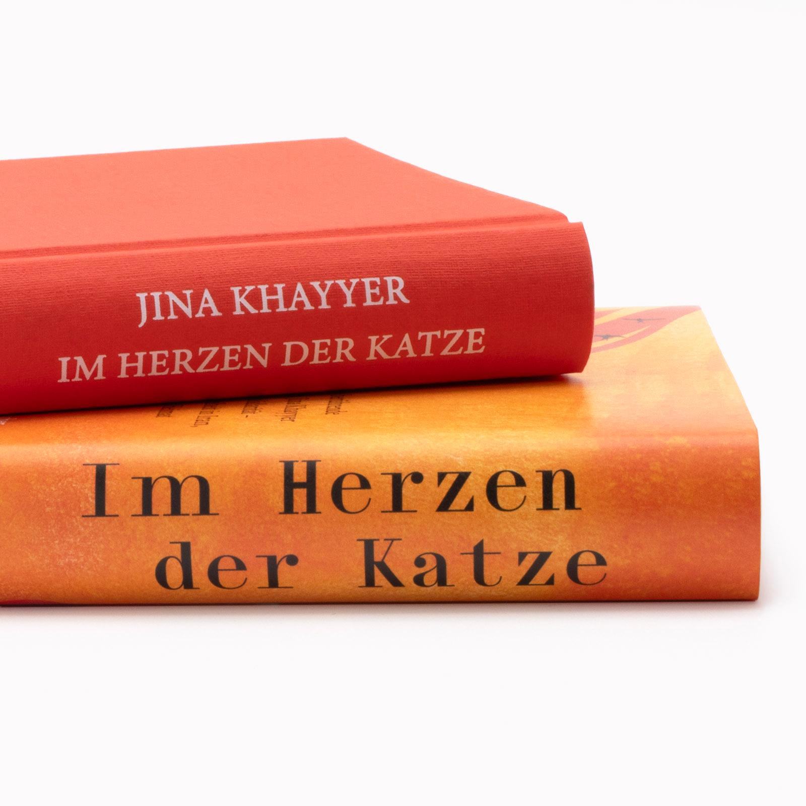 Beispielinhalt (Bild) Im Herzen der Katze