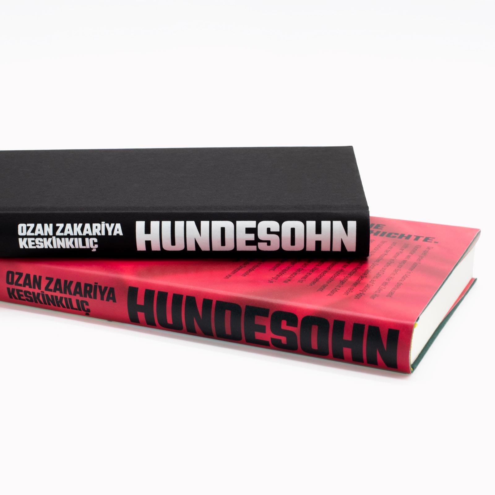 Beispielinhalt (Bild) Hundesohn