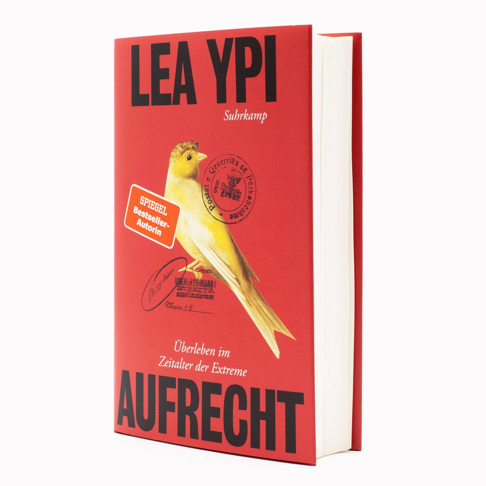 Beispielinhalt (Bild) Aufrecht