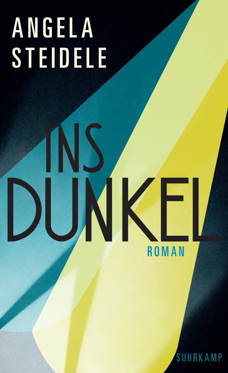 Vorderes Coverbild Ins Dunkel