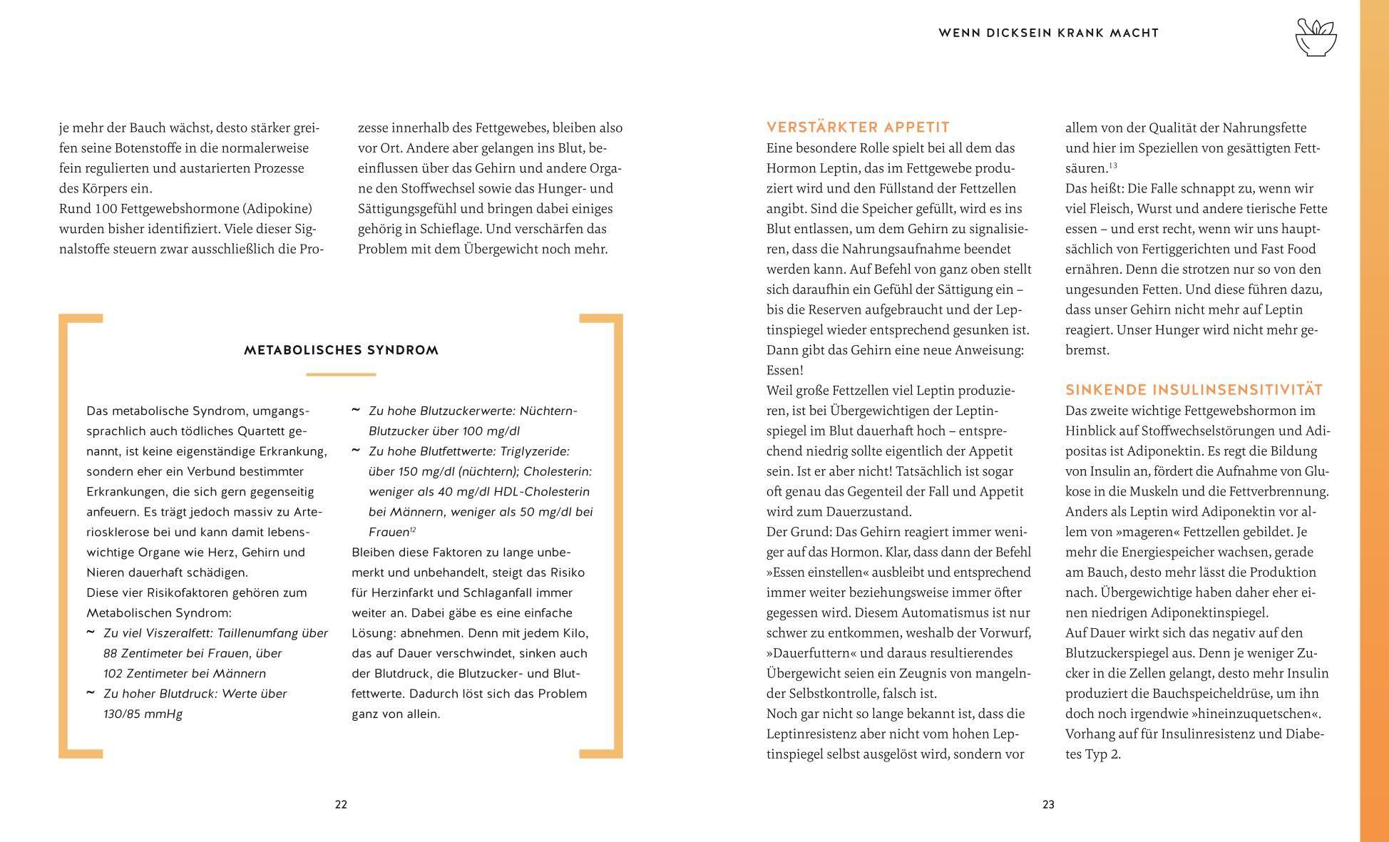 Beispielinhalt (Bild) Meine Gesundheitsretter aus der Natur gegen Bauchfett