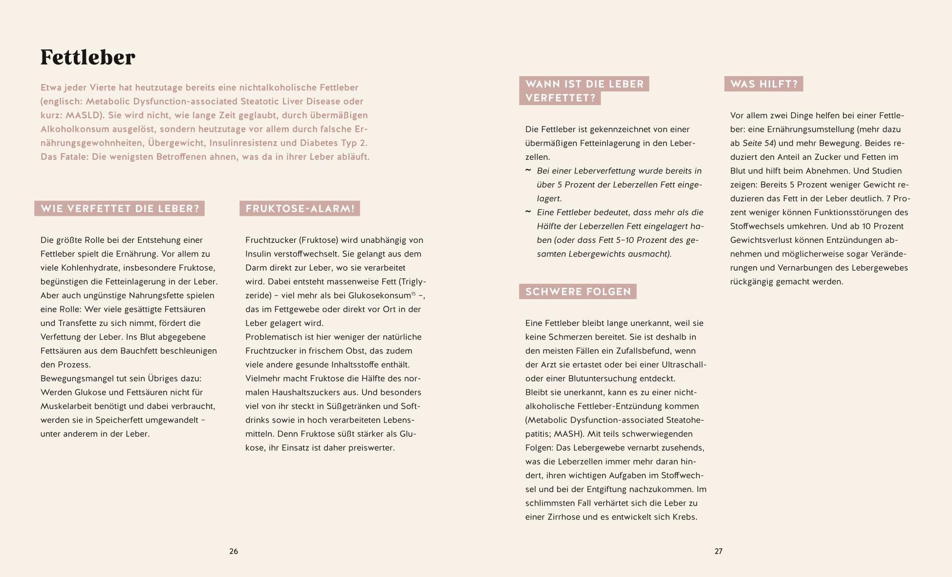 Beispielinhalt (Bild) Meine Gesundheitsretter aus der Natur gegen Bauchfett