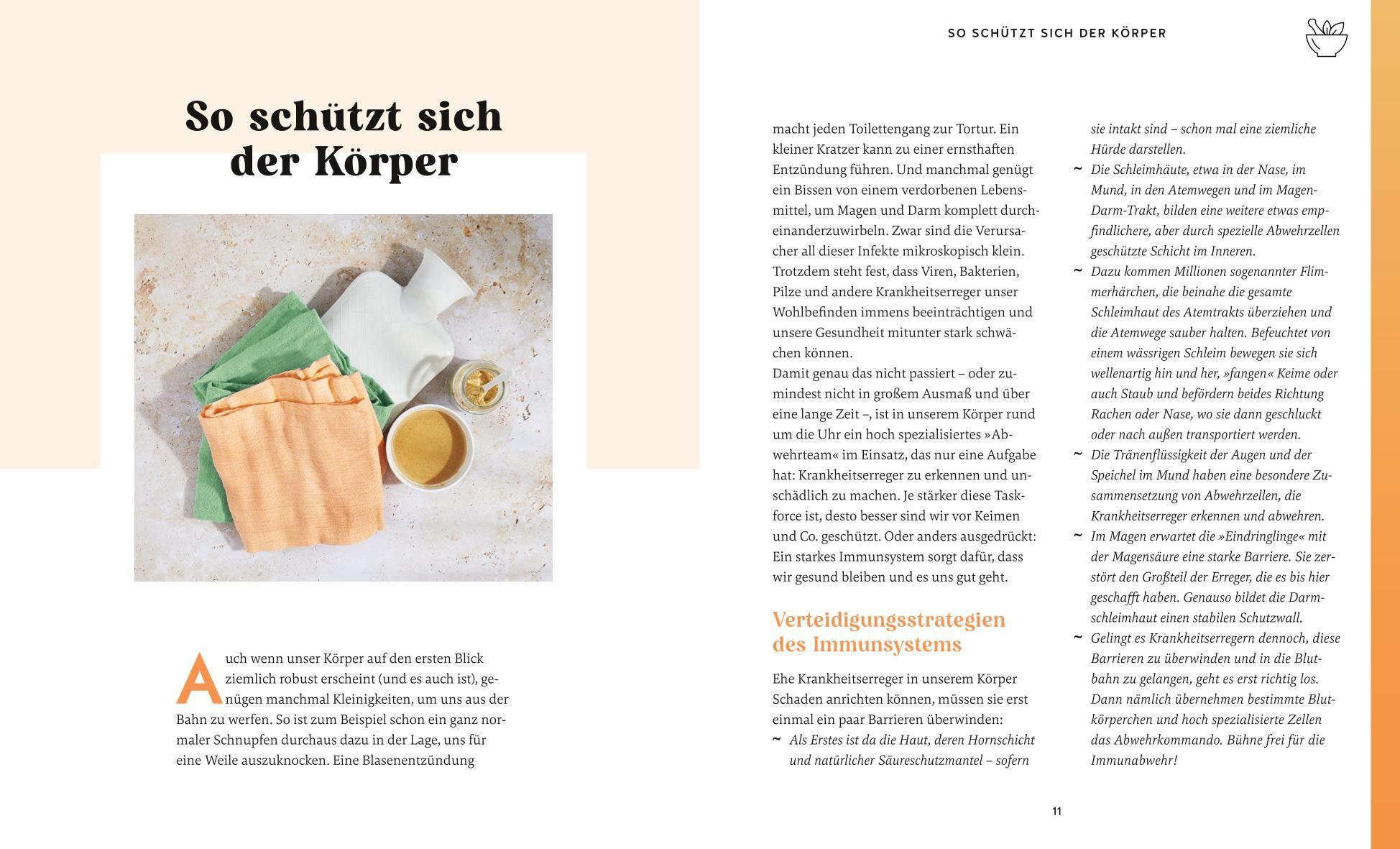Beispielinhalt (Bild) Meine Gesundheitsretter aus der Natur für ein starkes Immunsystem