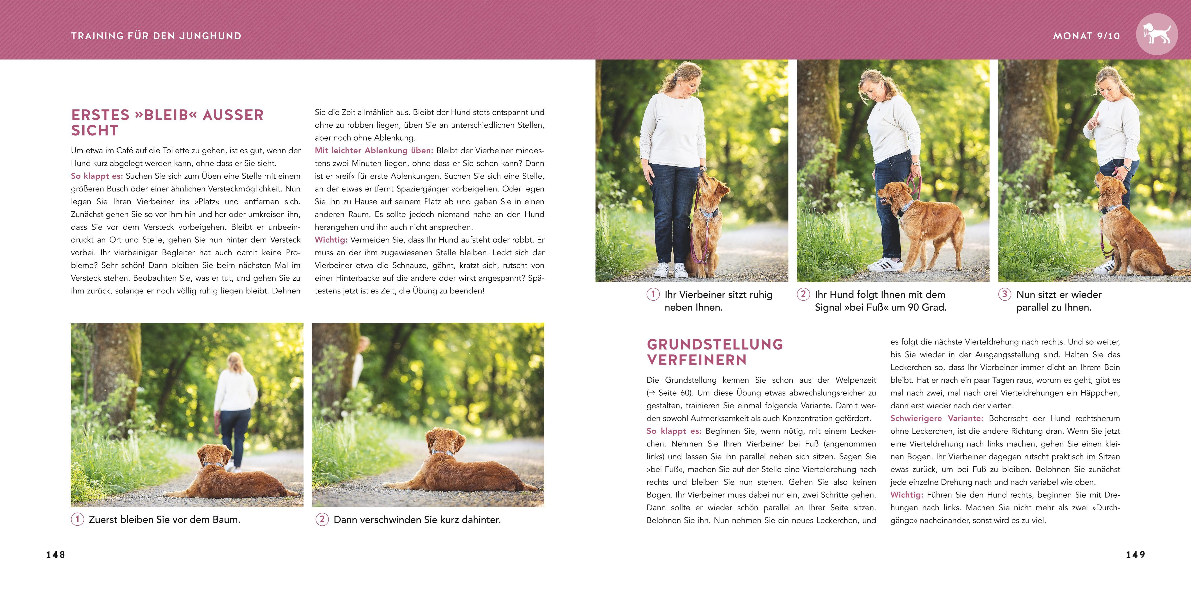 Beispielinhalt (Bild) Welpen-Erziehung
