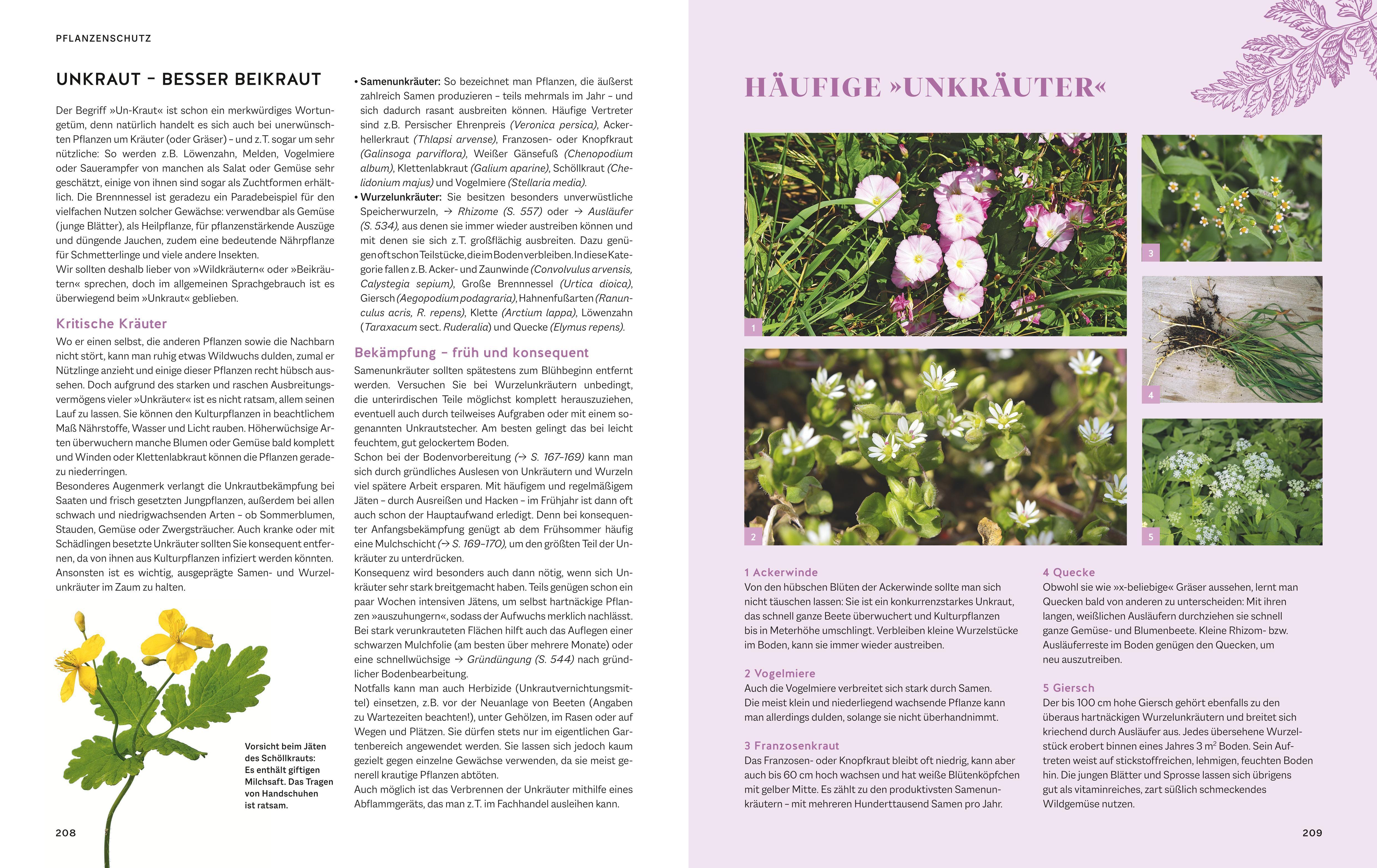 Beispielinhalt (Bild) Das große Praxishandbuch Garten