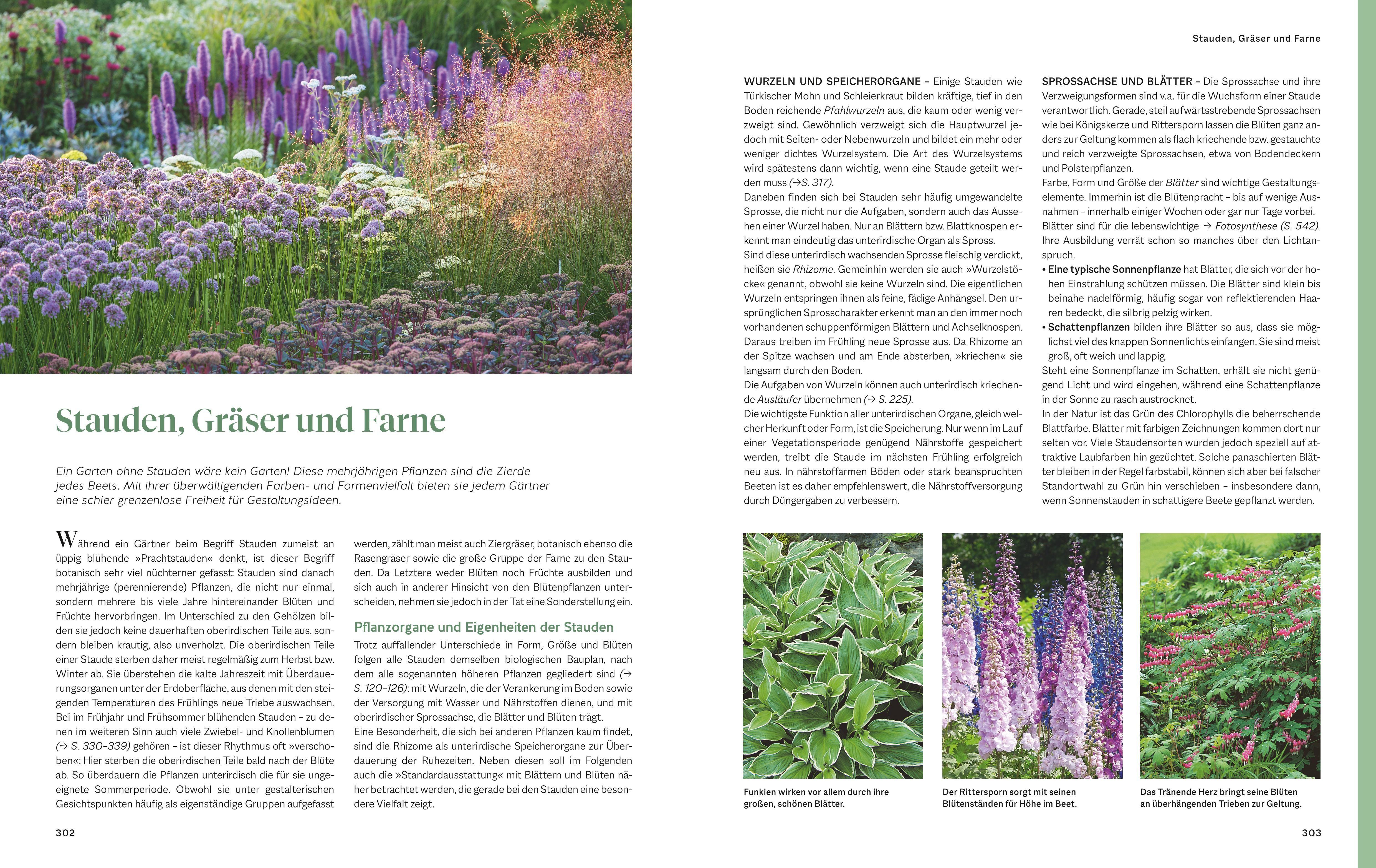 Beispielinhalt (Bild) Das große Praxishandbuch Garten