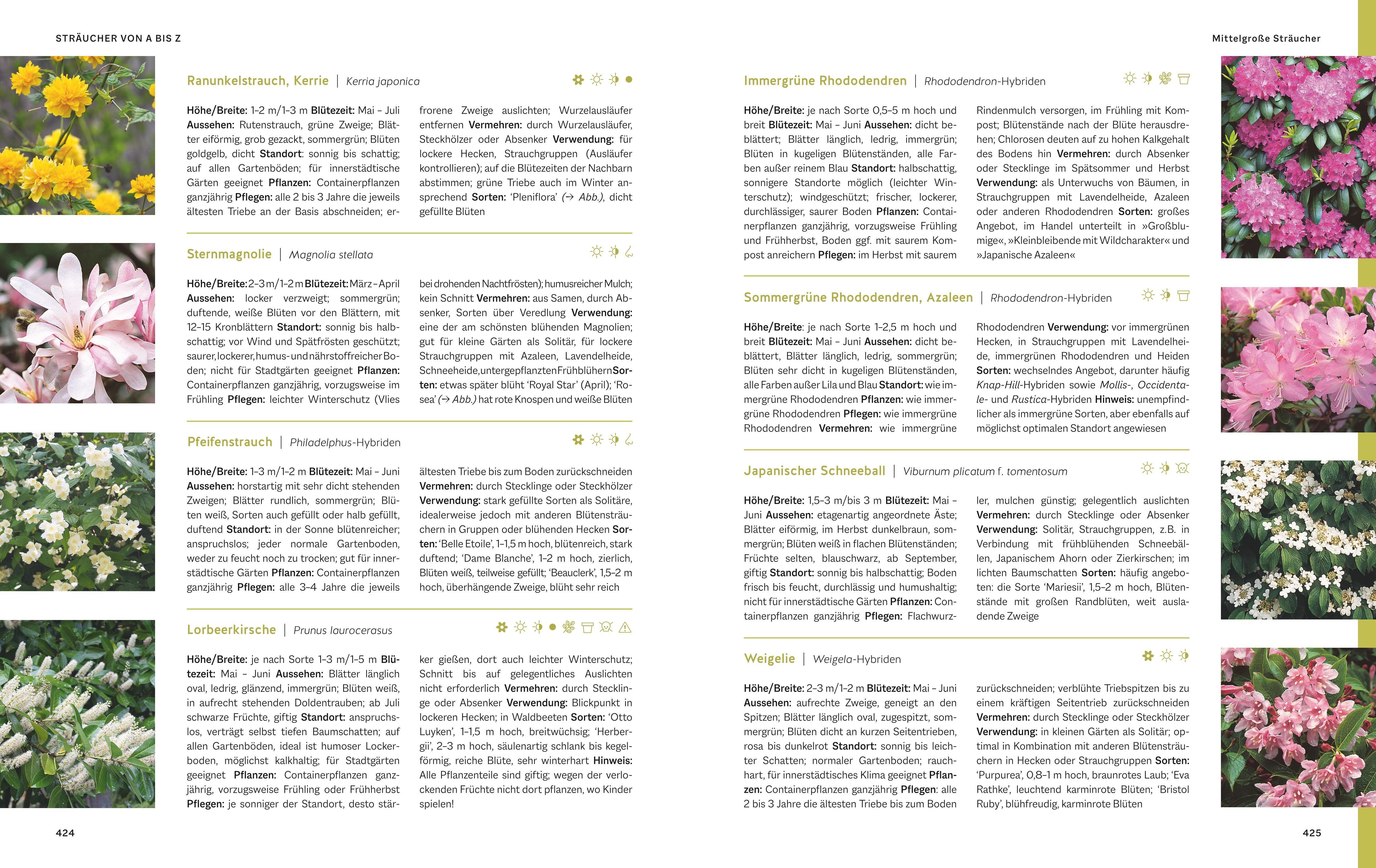 Beispielinhalt (Bild) Das große Praxishandbuch Garten