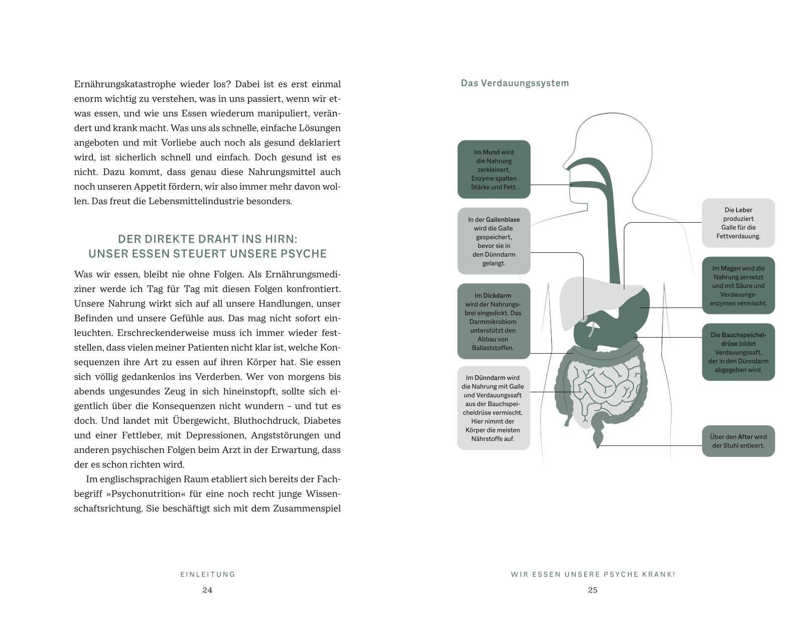 Beispielinhalt (Bild) Das Psyche-Darm-Paradox