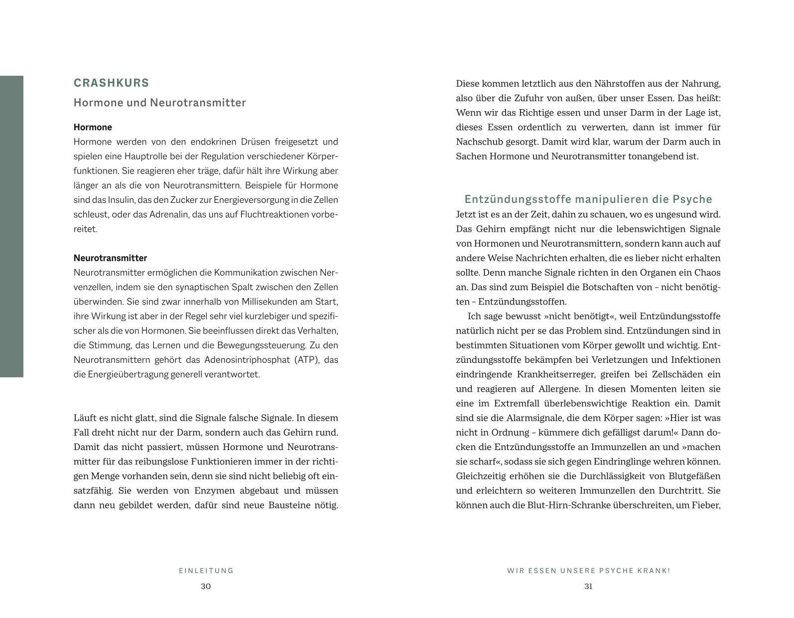 Beispielinhalt (Bild) Das Psyche-Darm-Paradox