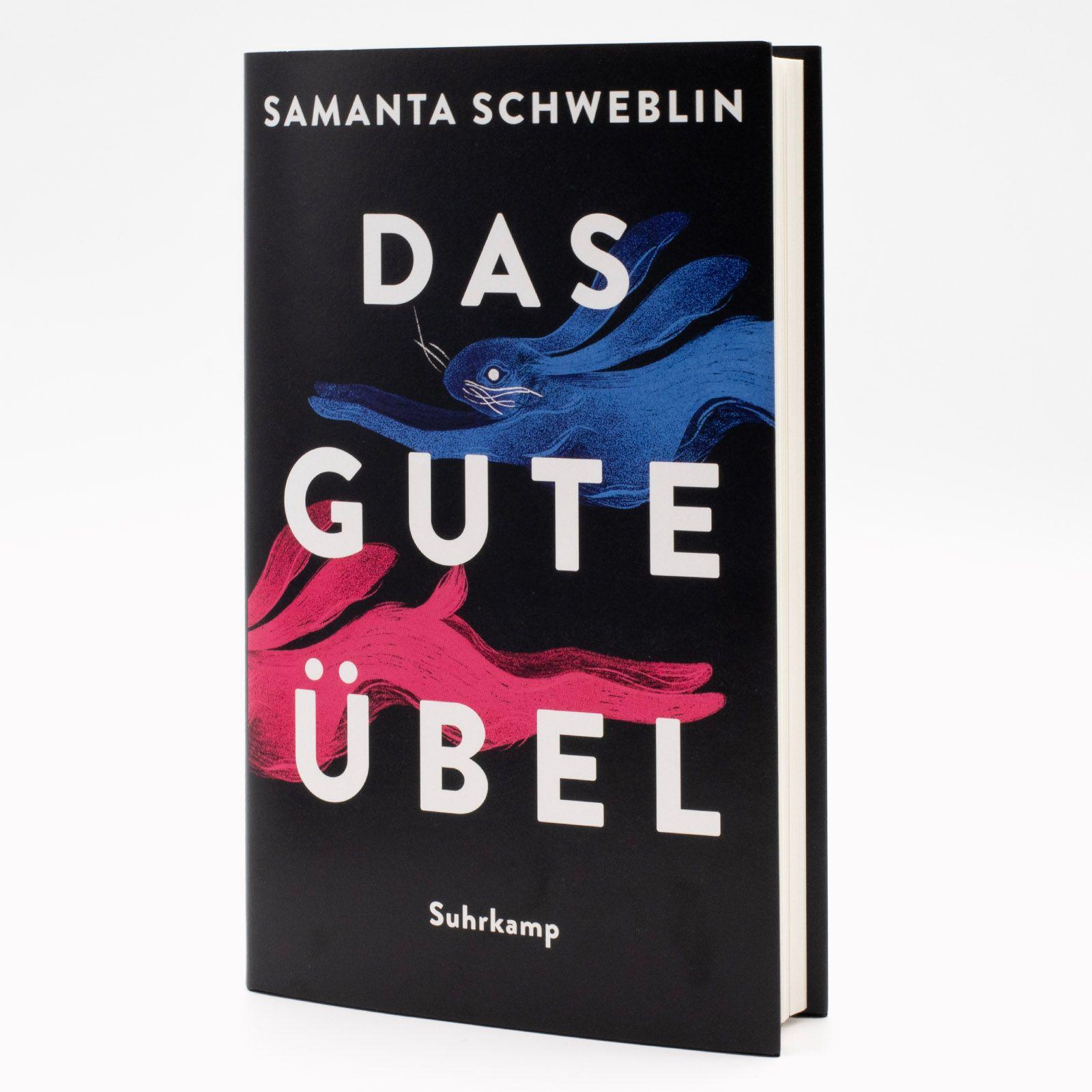 Beispielinhalt (Bild) Das gute Übel