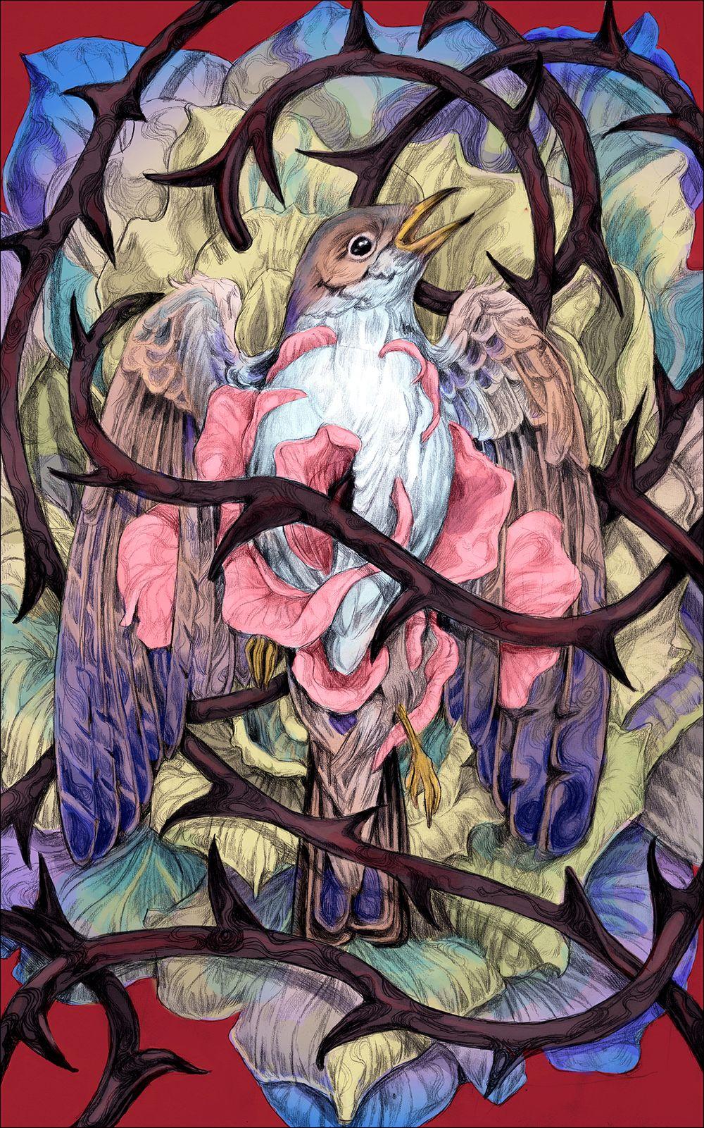 Beispielinhalt (Bild) Märchen