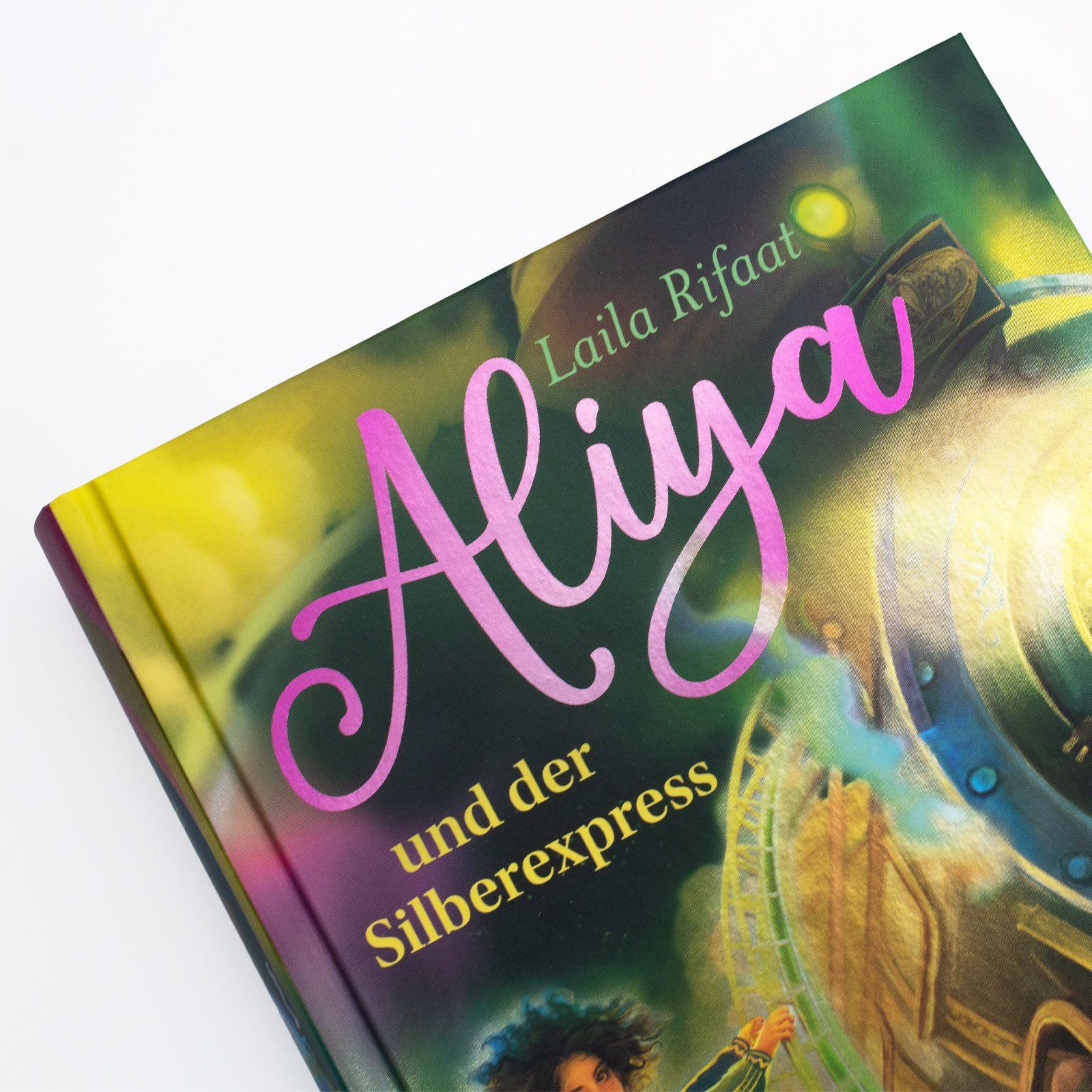 Beispielinhalt (Bild) Aliya und der Silberexpress 2