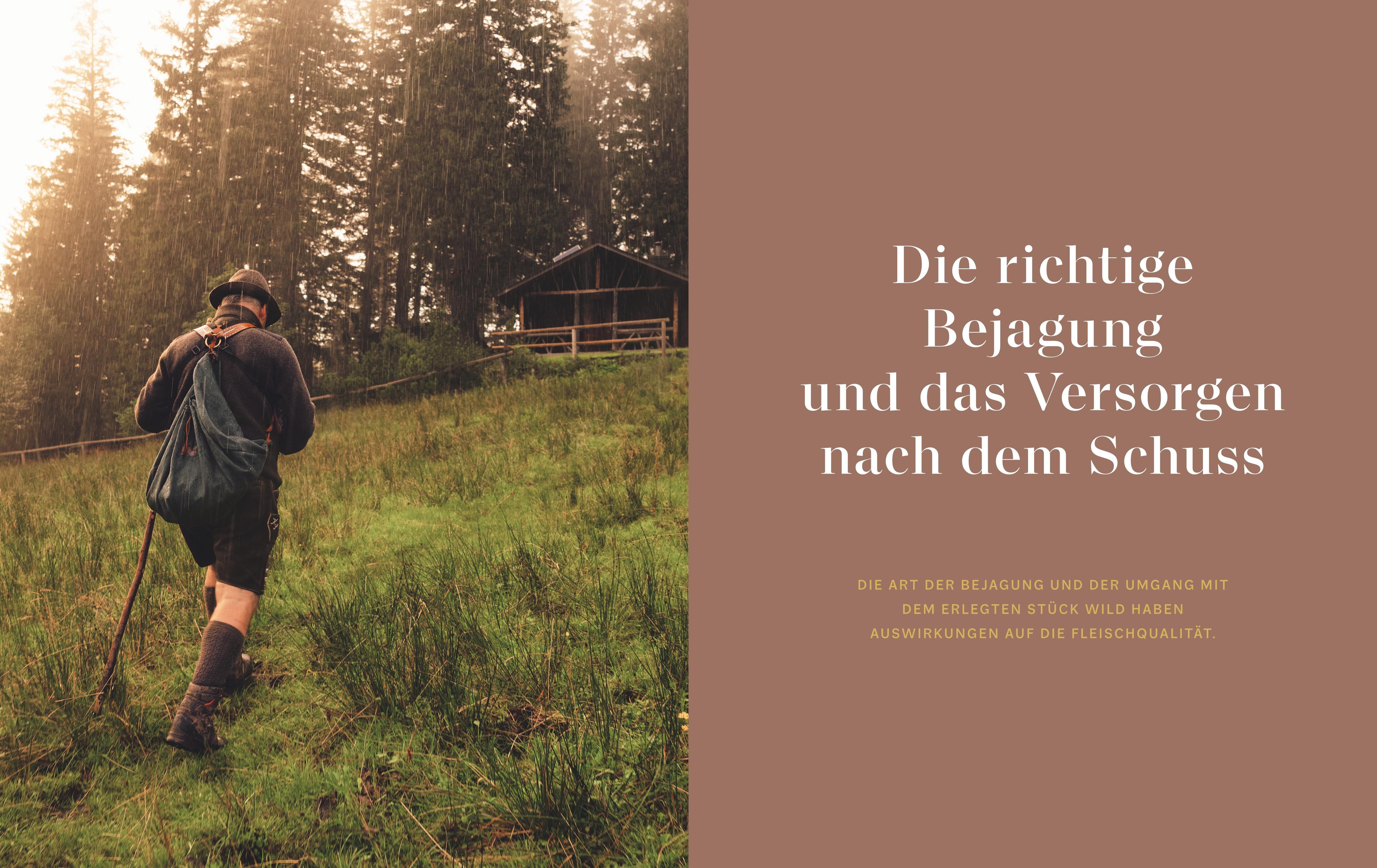 Beispielinhalt (Bild) Das Geheimnis des Schweizer Schnitts