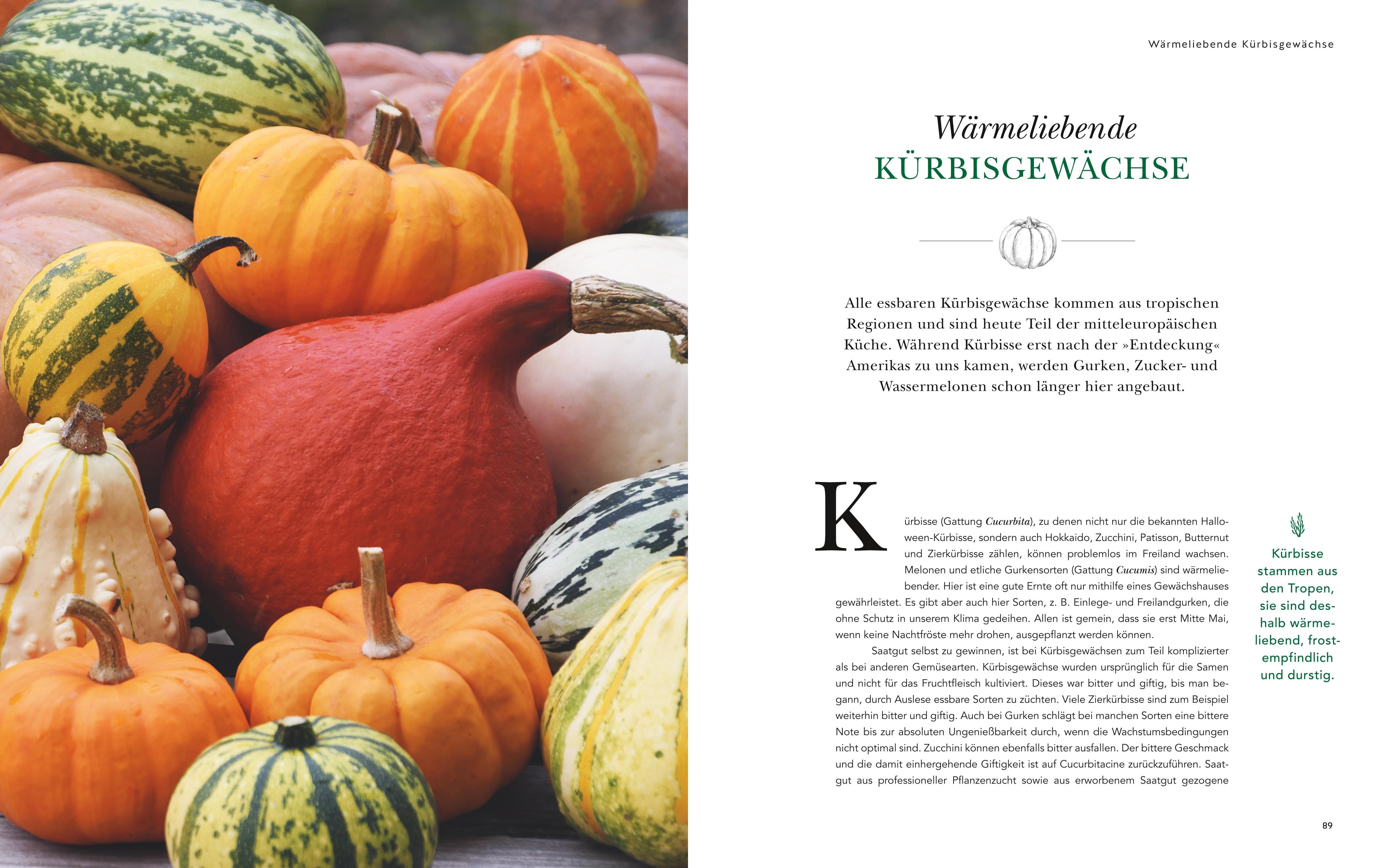 Beispielinhalt (Bild) Das große Garten-Gemüse-Buch