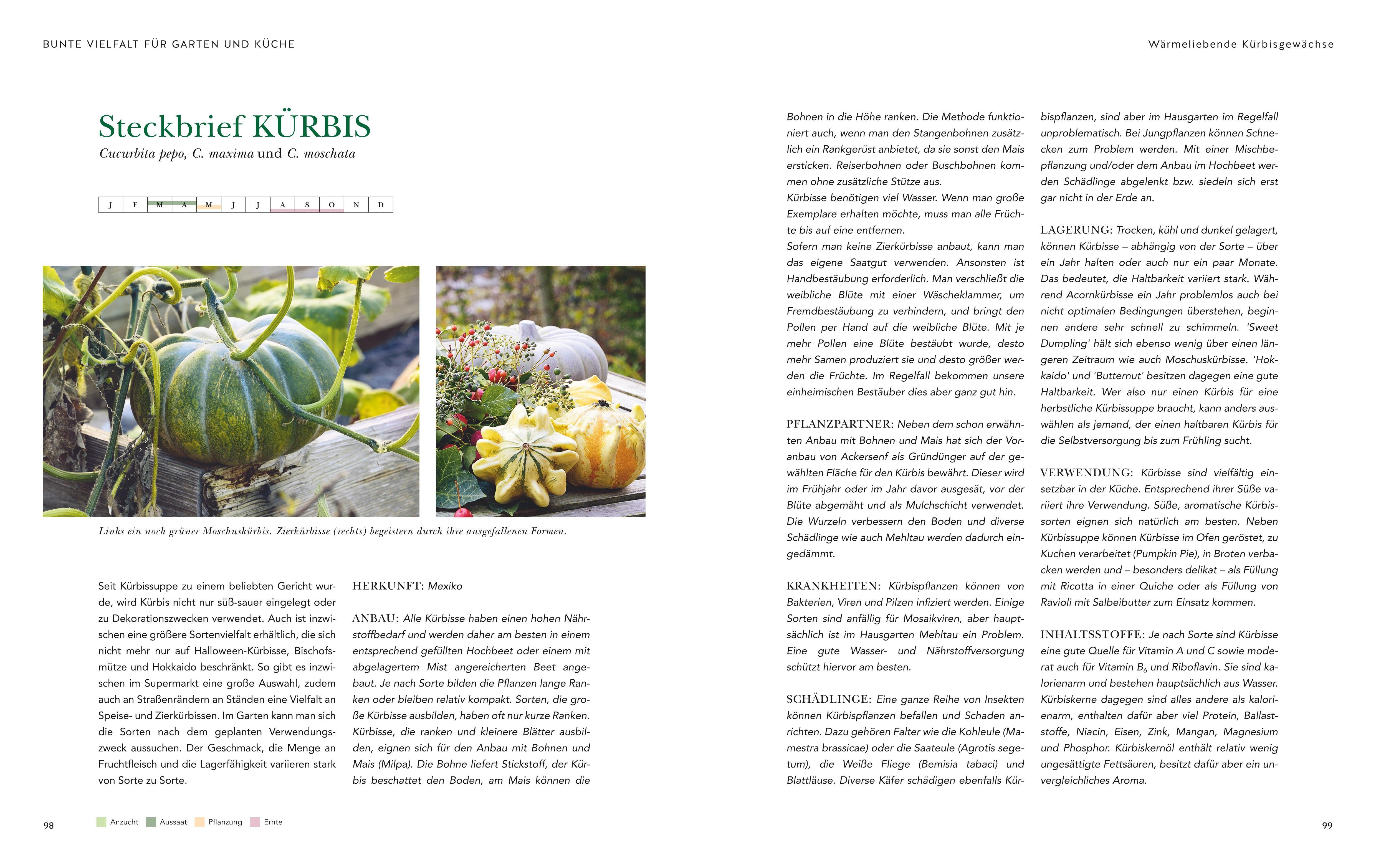 Beispielinhalt (Bild) Das große Garten-Gemüse-Buch