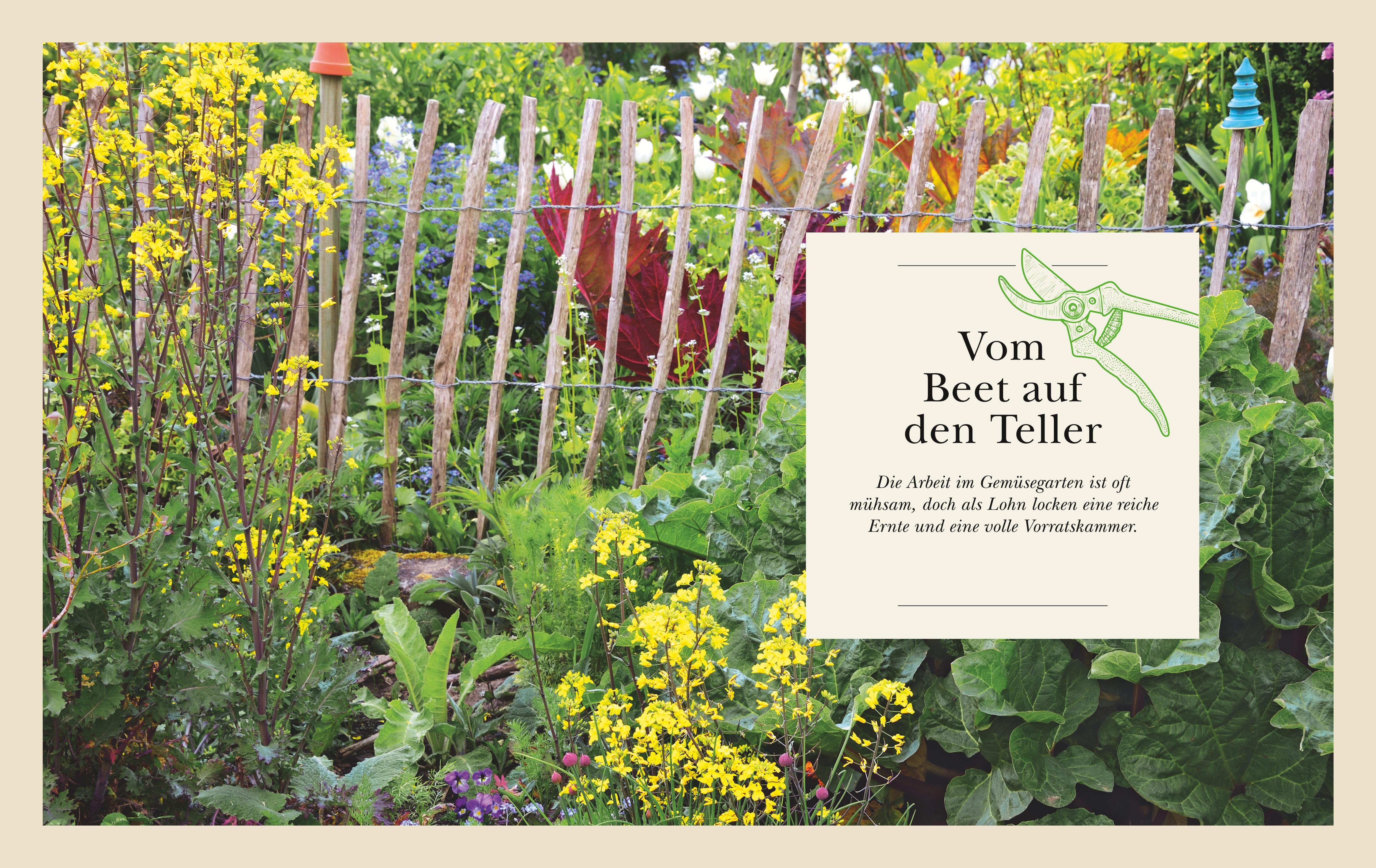 Beispielinhalt (Bild) Das große Garten-Gemüse-Buch