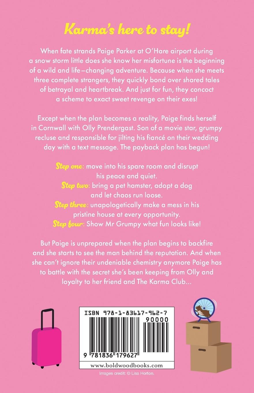 Rückseitencover The Payback Plan