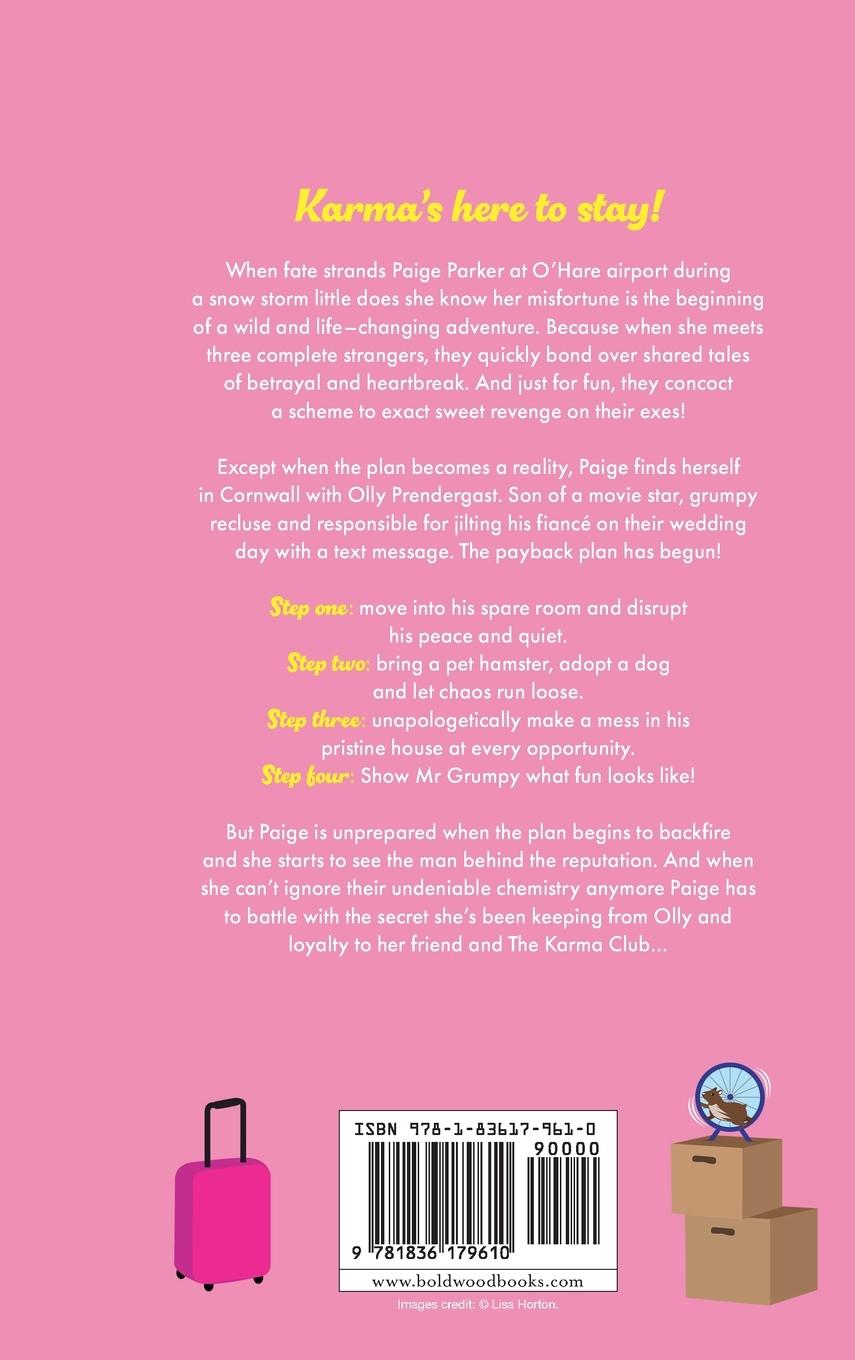 Rückseitencover The Payback Plan