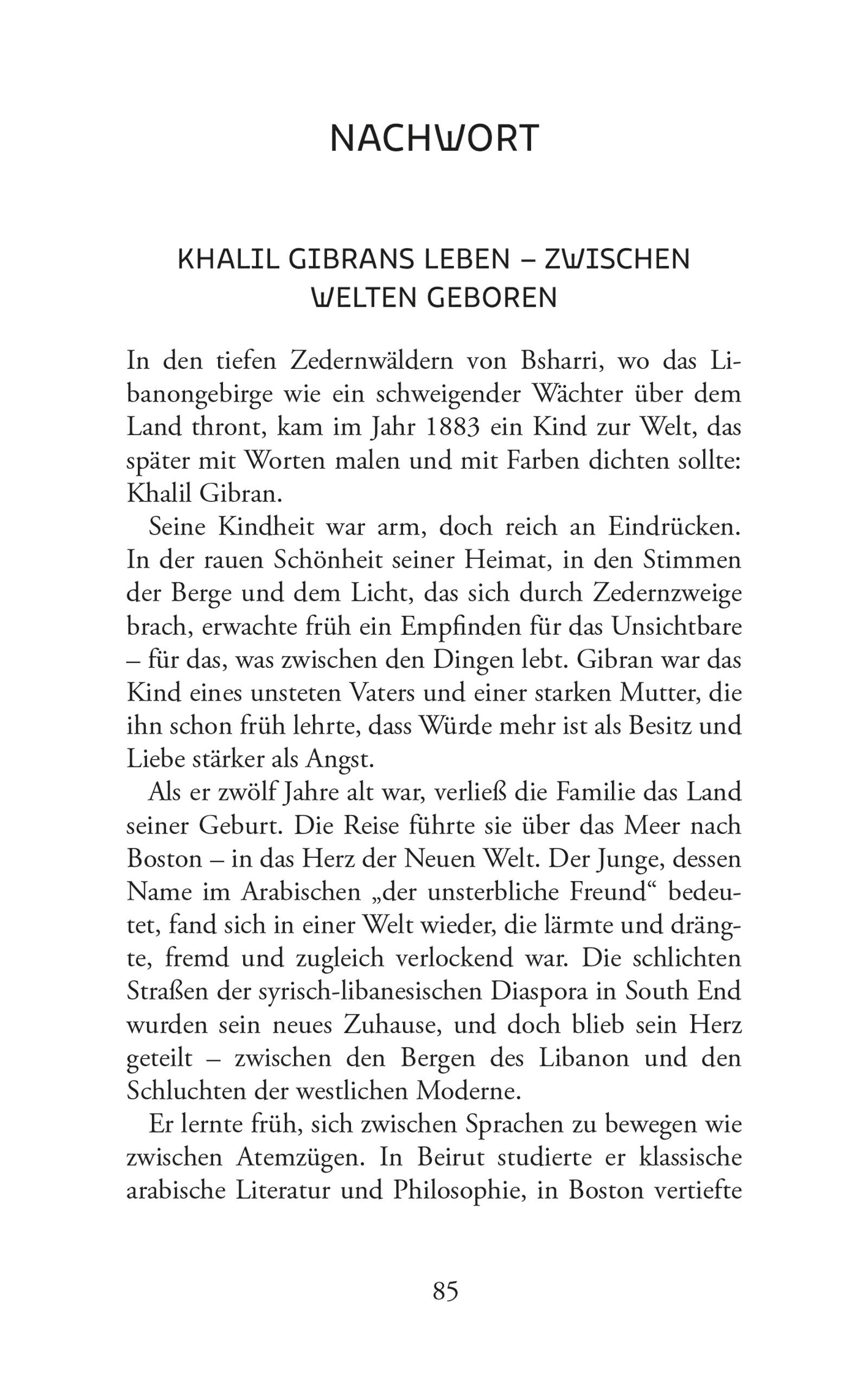 Beispielinhalt (Bild) Die gebrochenen Flügel. Eine tragische Liebesgeschichte. Khalil Gibran
