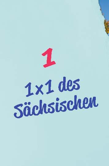 Beispielinhalt (Bild) Langenscheidt So geht Mundart Sächsisch