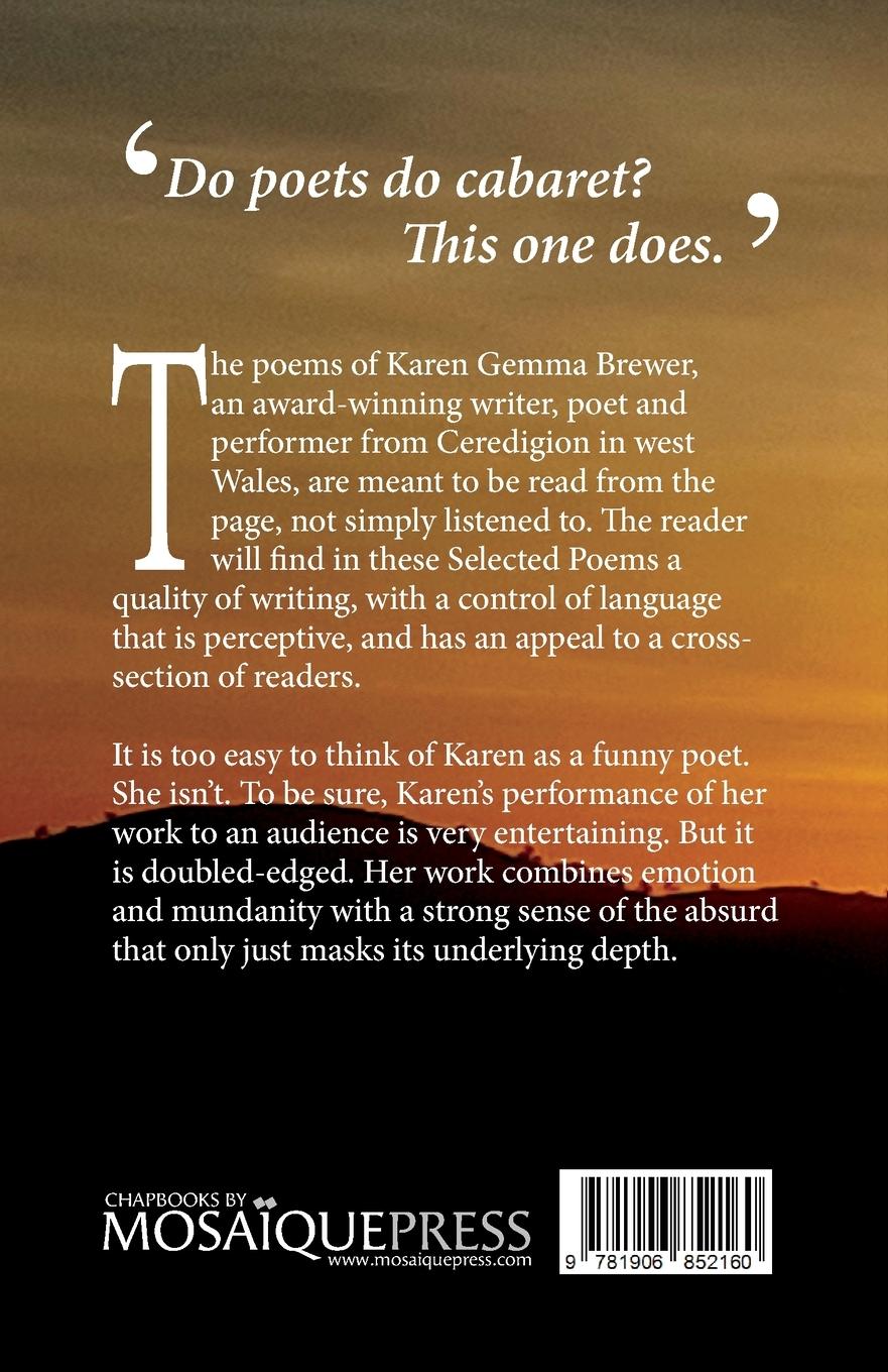 Rückseitencover Dandelion in the Sun