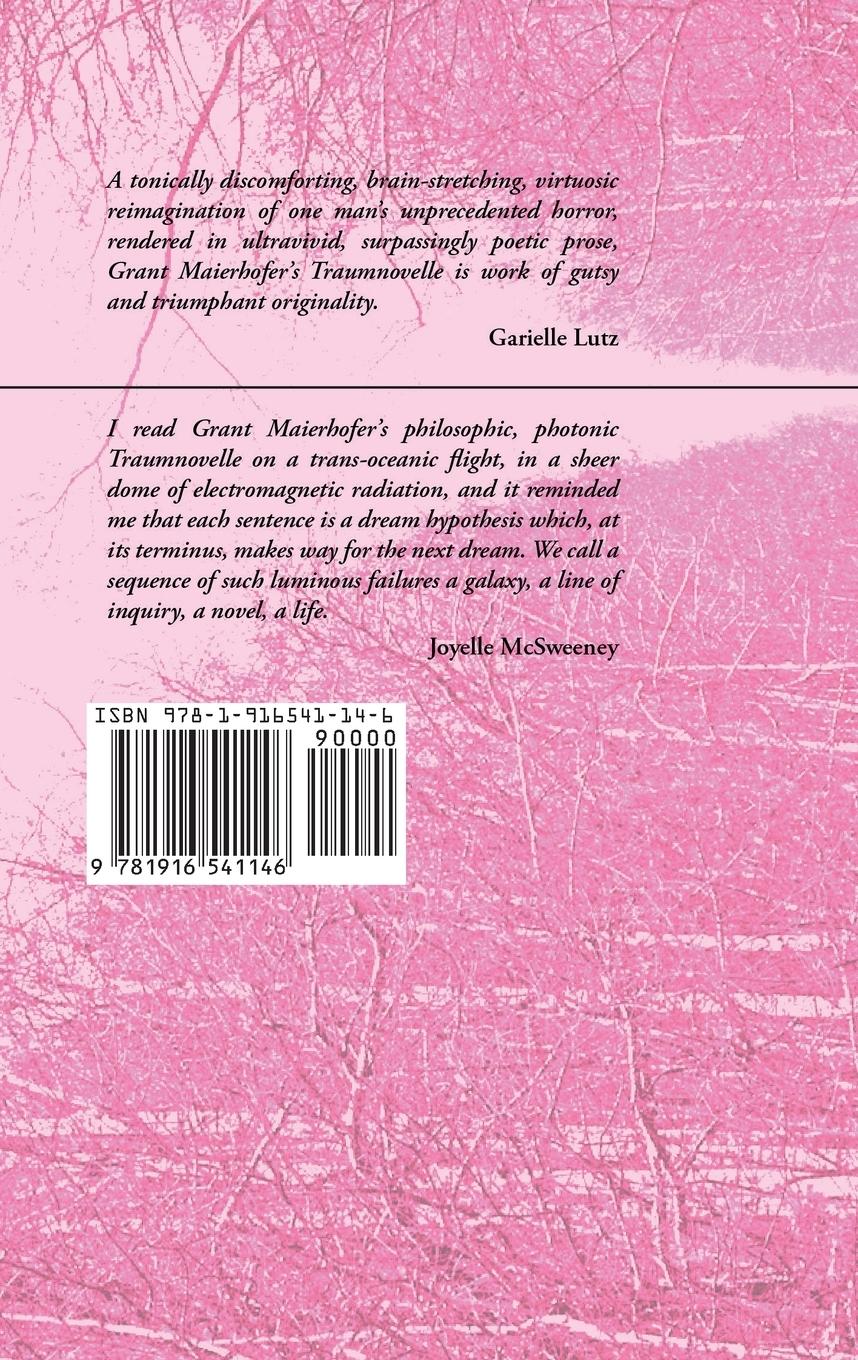 Rückseitencover Traumnovelle