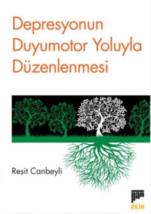 Vorderes Coverbild Depresyonun Duyumotor Yoluyla Düzenlenmesi