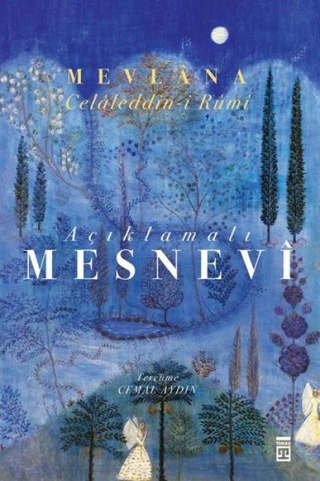 Vorderes Coverbild Aciklamali Mesnevi Ciltli