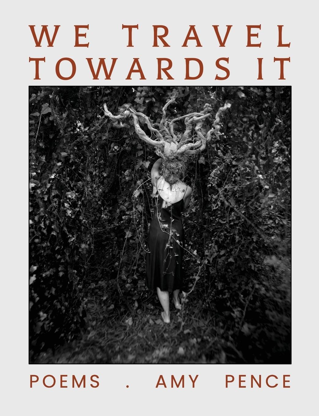 Vorderes Coverbild We Travel Towards It