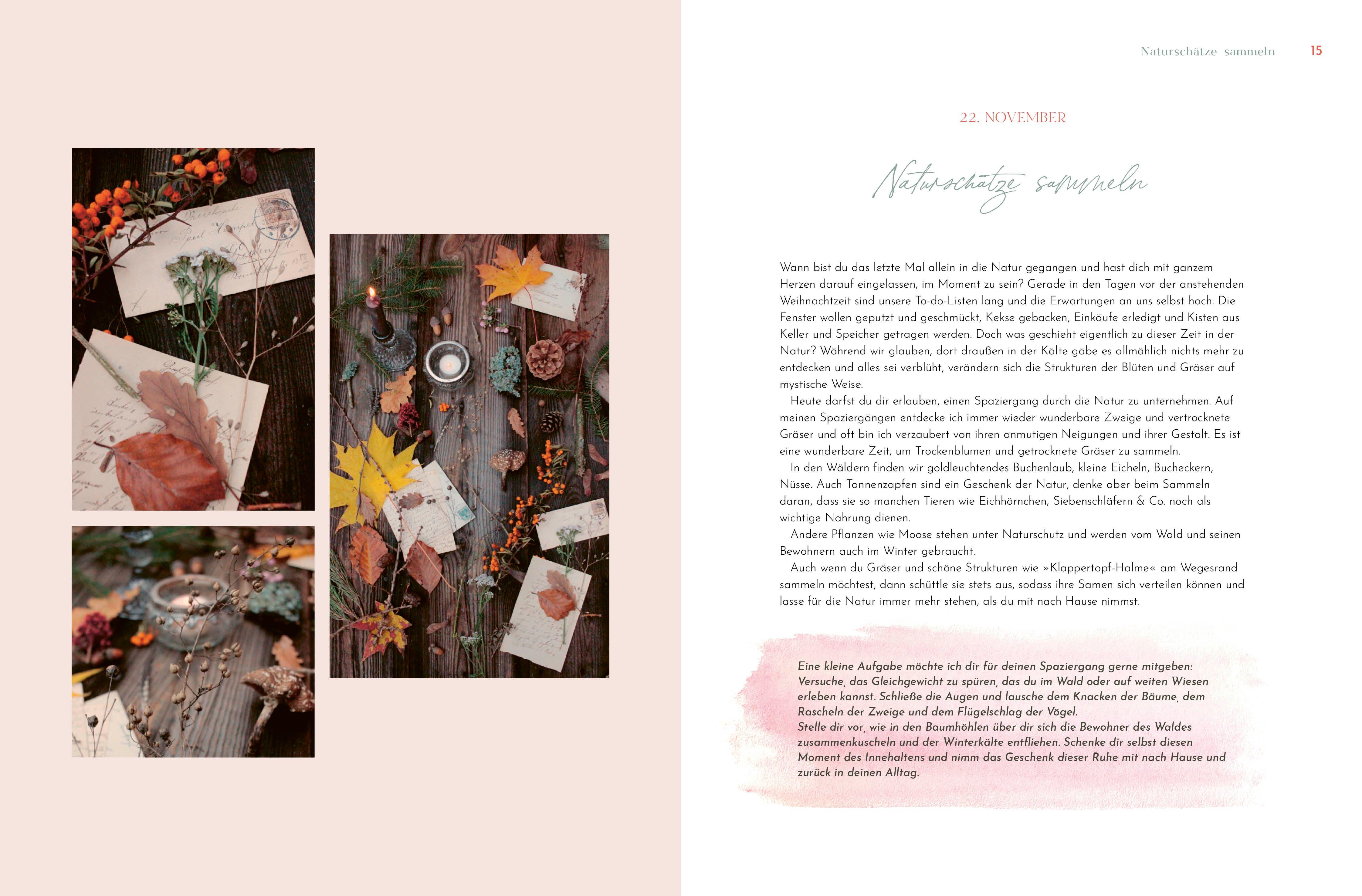 Beispielinhalt (Bild) Sonderausgabe: Weihnachtsstern, Tannenbaum und Kerzenduft