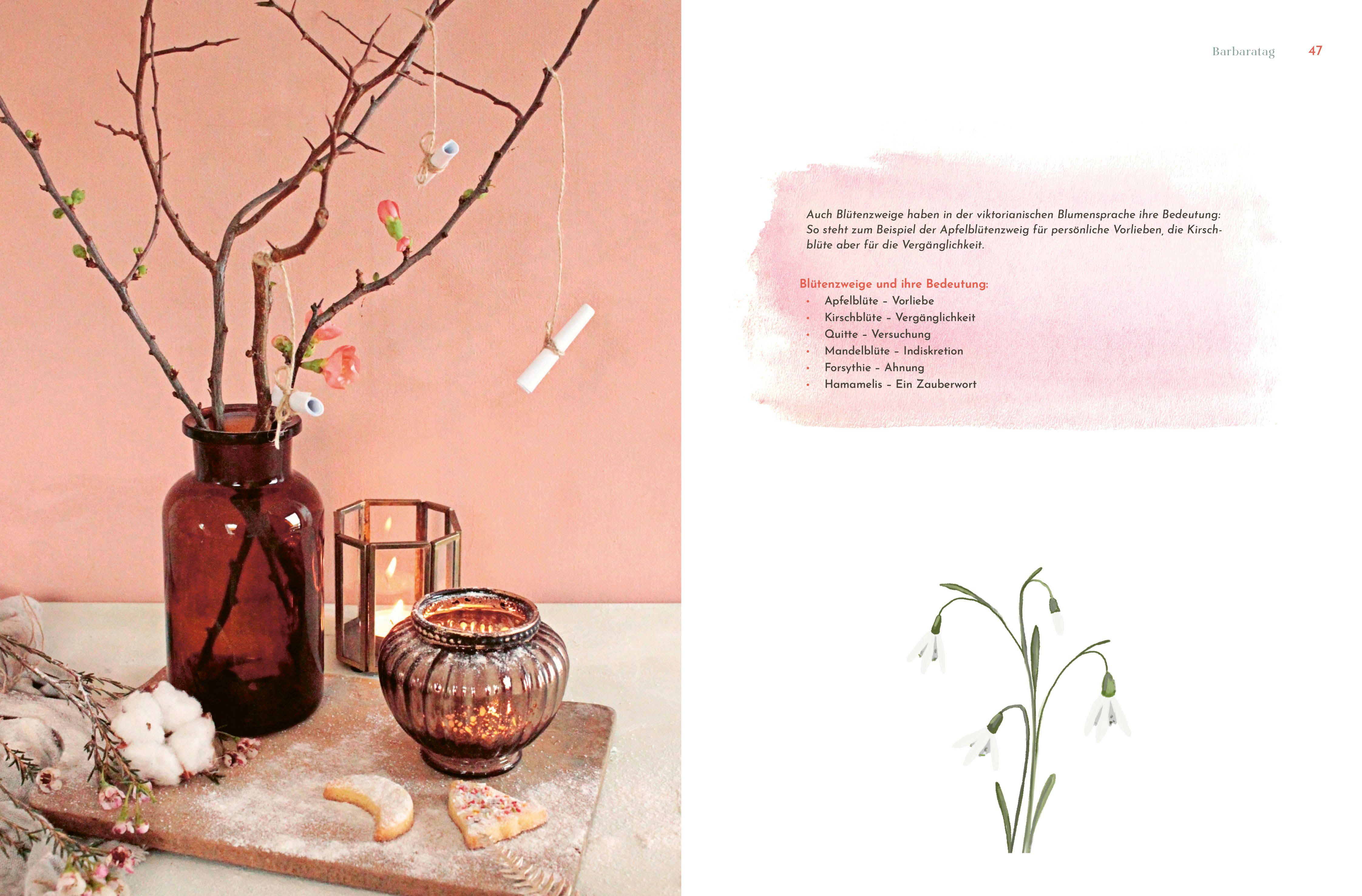 Beispielinhalt (Bild) Sonderausgabe: Weihnachtsstern, Tannenbaum und Kerzenduft