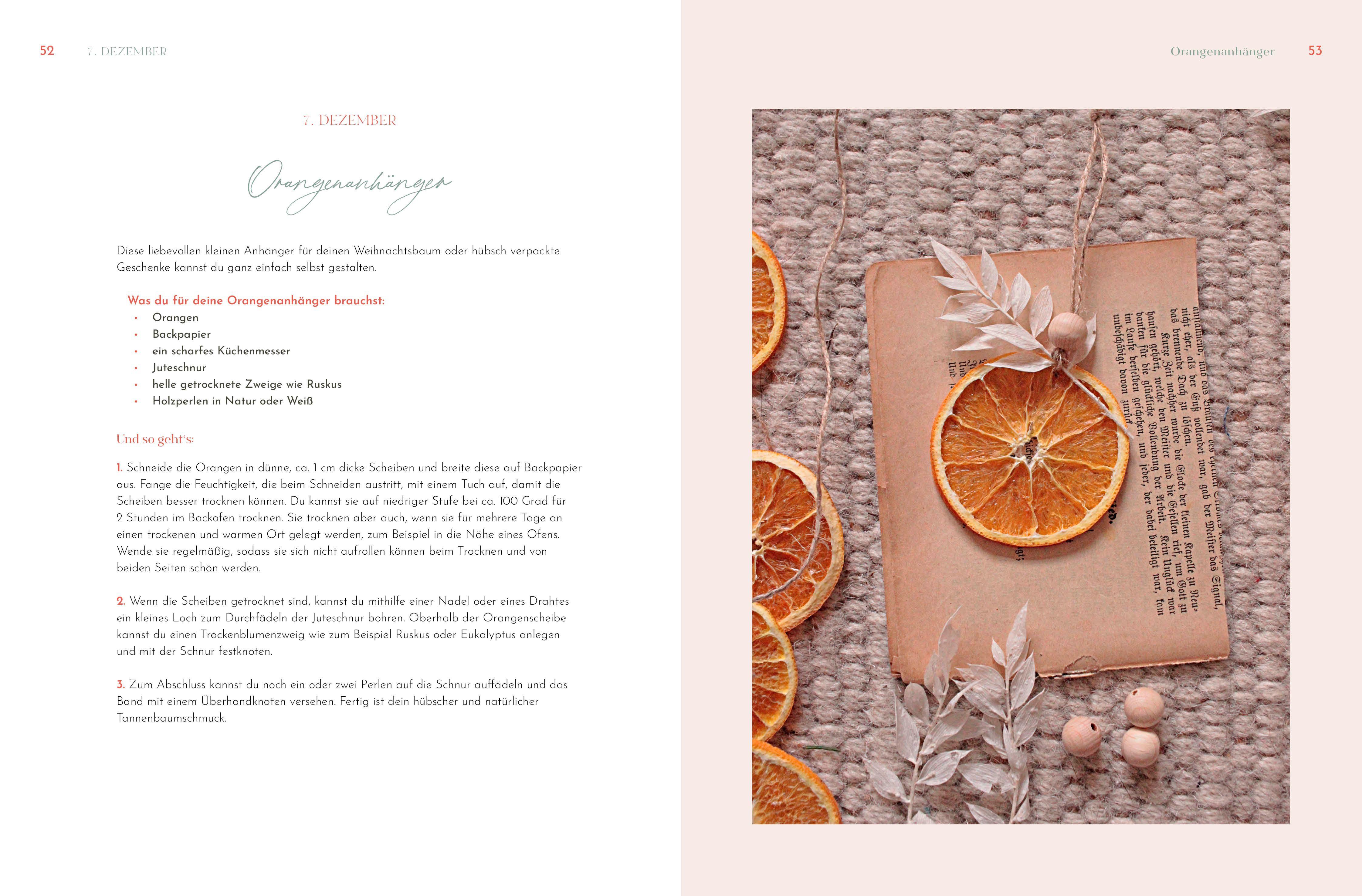 Beispielinhalt (Bild) Sonderausgabe: Weihnachtsstern, Tannenbaum und Kerzenduft