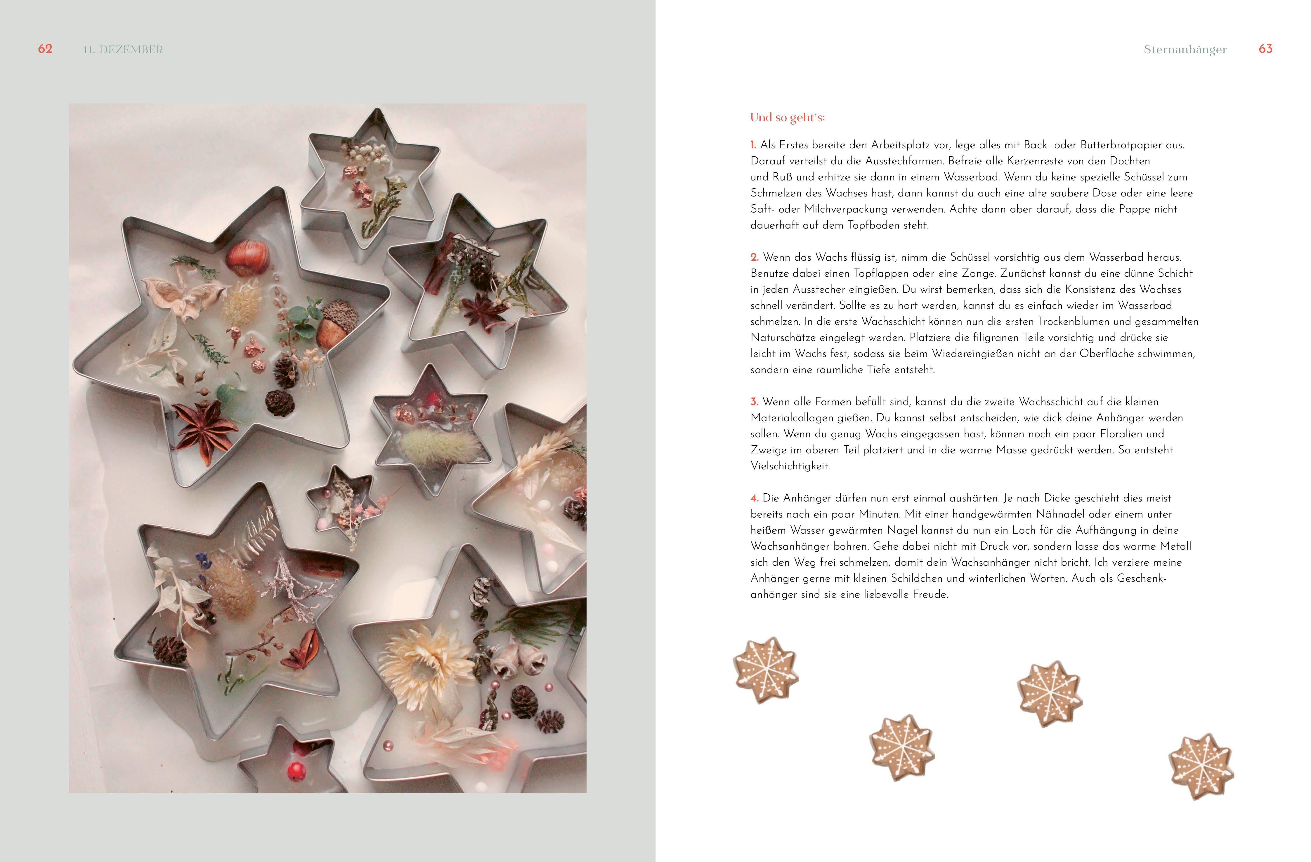 Beispielinhalt (Bild) Sonderausgabe: Weihnachtsstern, Tannenbaum und Kerzenduft