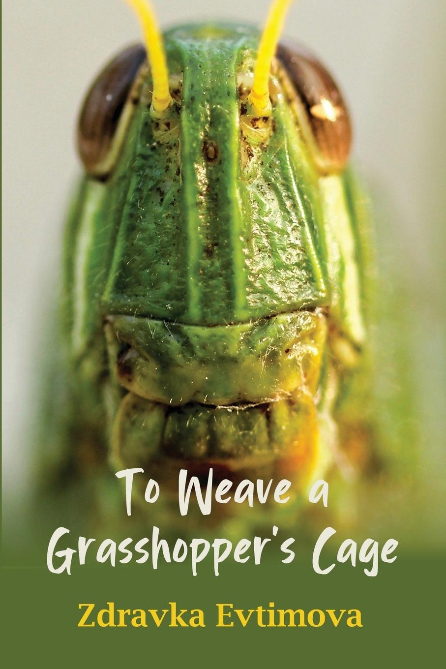 Vorderes Coverbild To Weave a Grasshopper's Cage