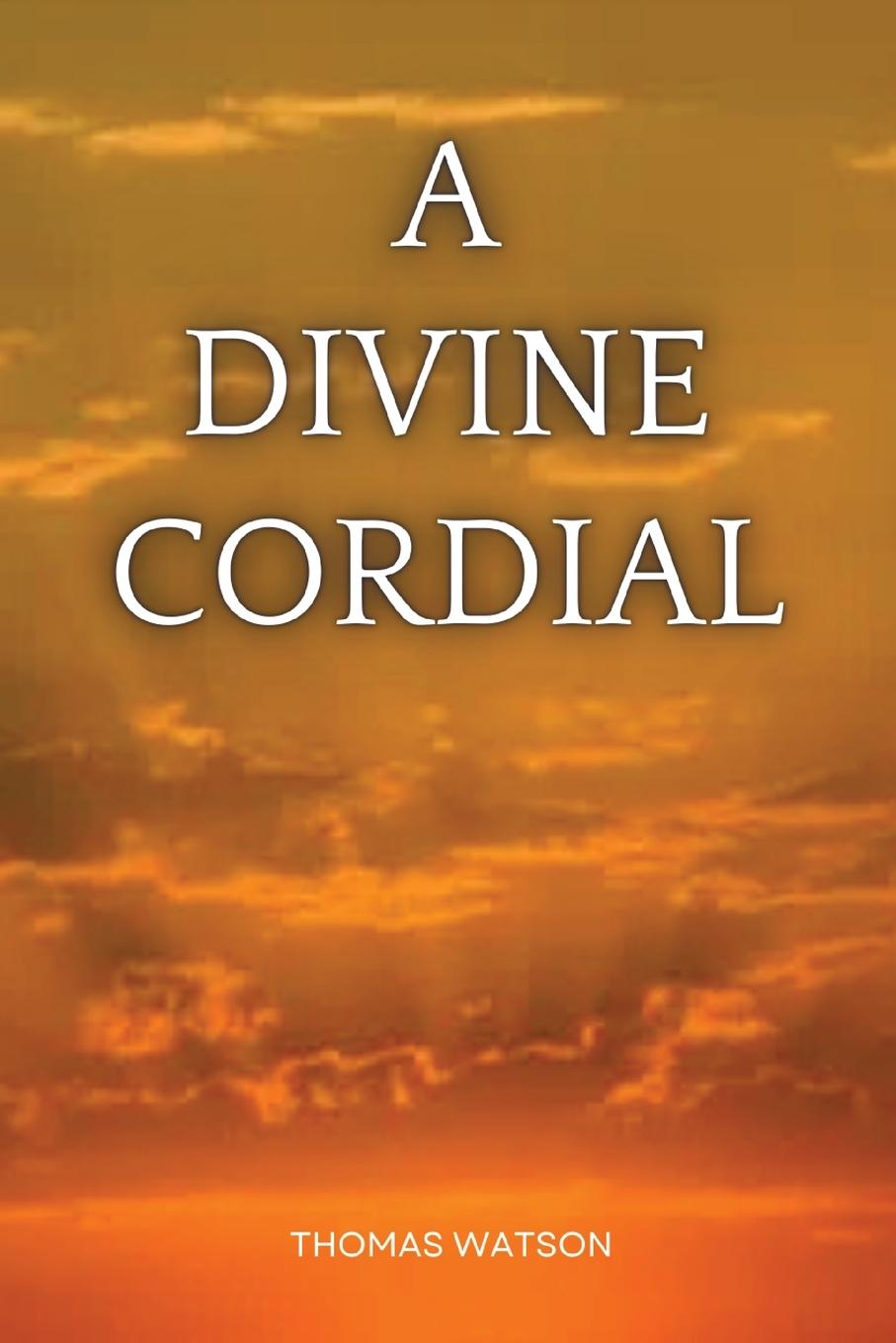 Vorderes Coverbild A Divine Cordial