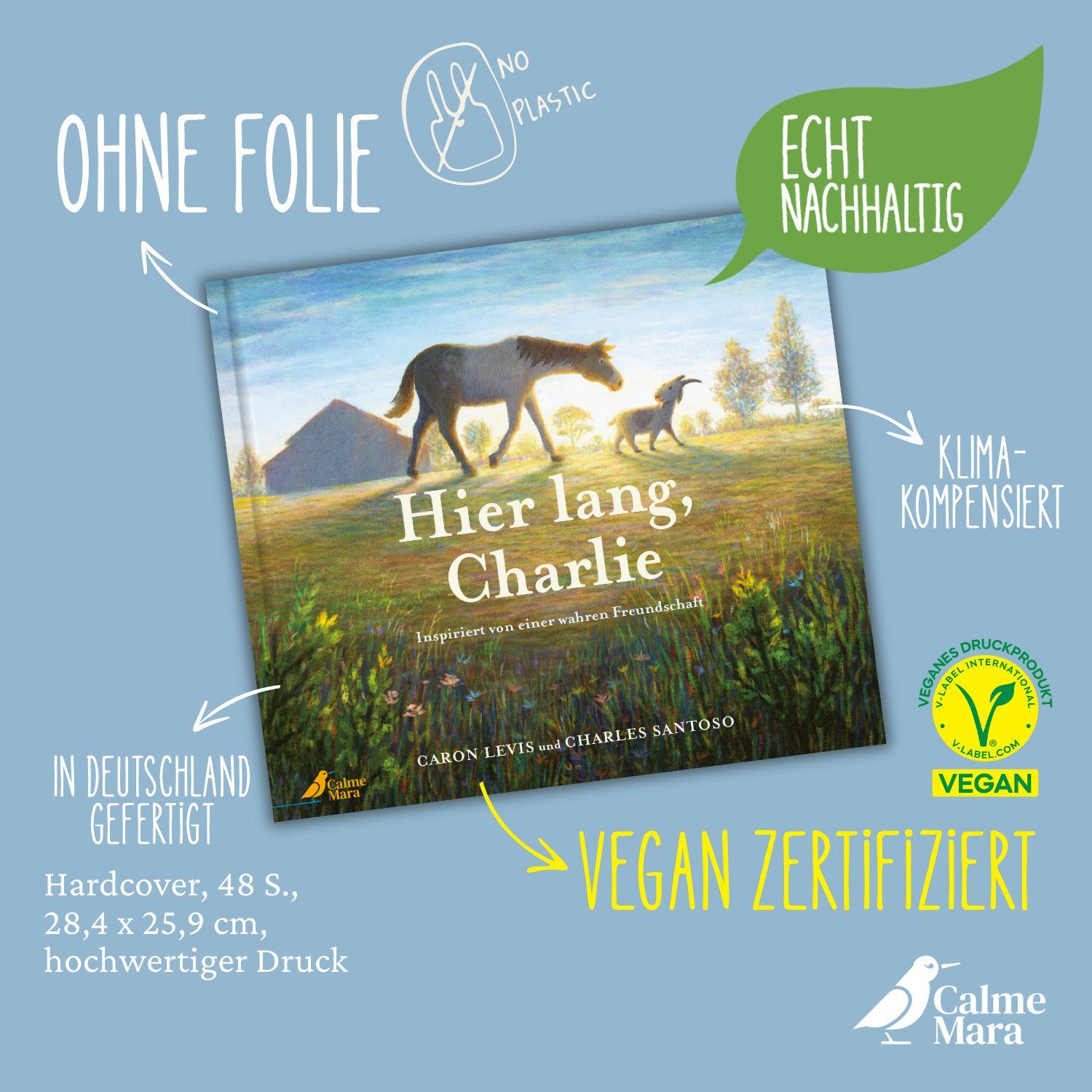 Beispielinhalt (Bild) Hier lang, Charlie