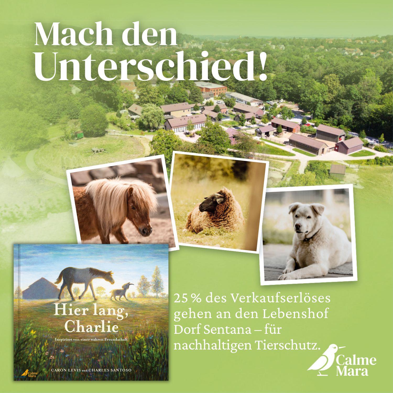 Beispielinhalt (Bild) Hier lang, Charlie