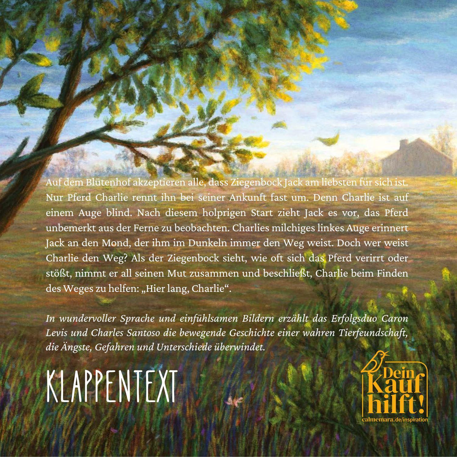 Beispielinhalt (Bild) Hier lang, Charlie