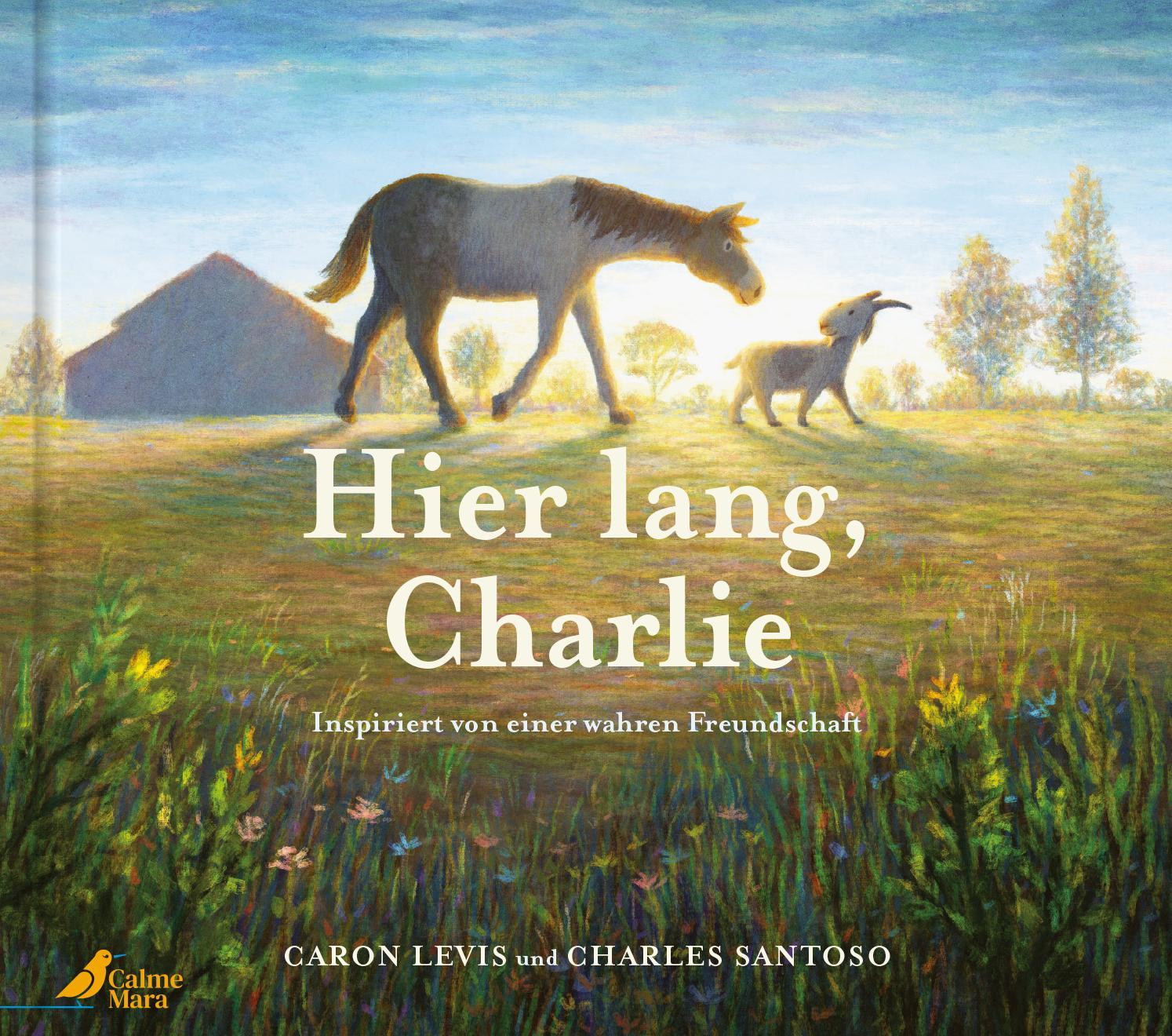 Vorderes Coverbild Hier lang, Charlie