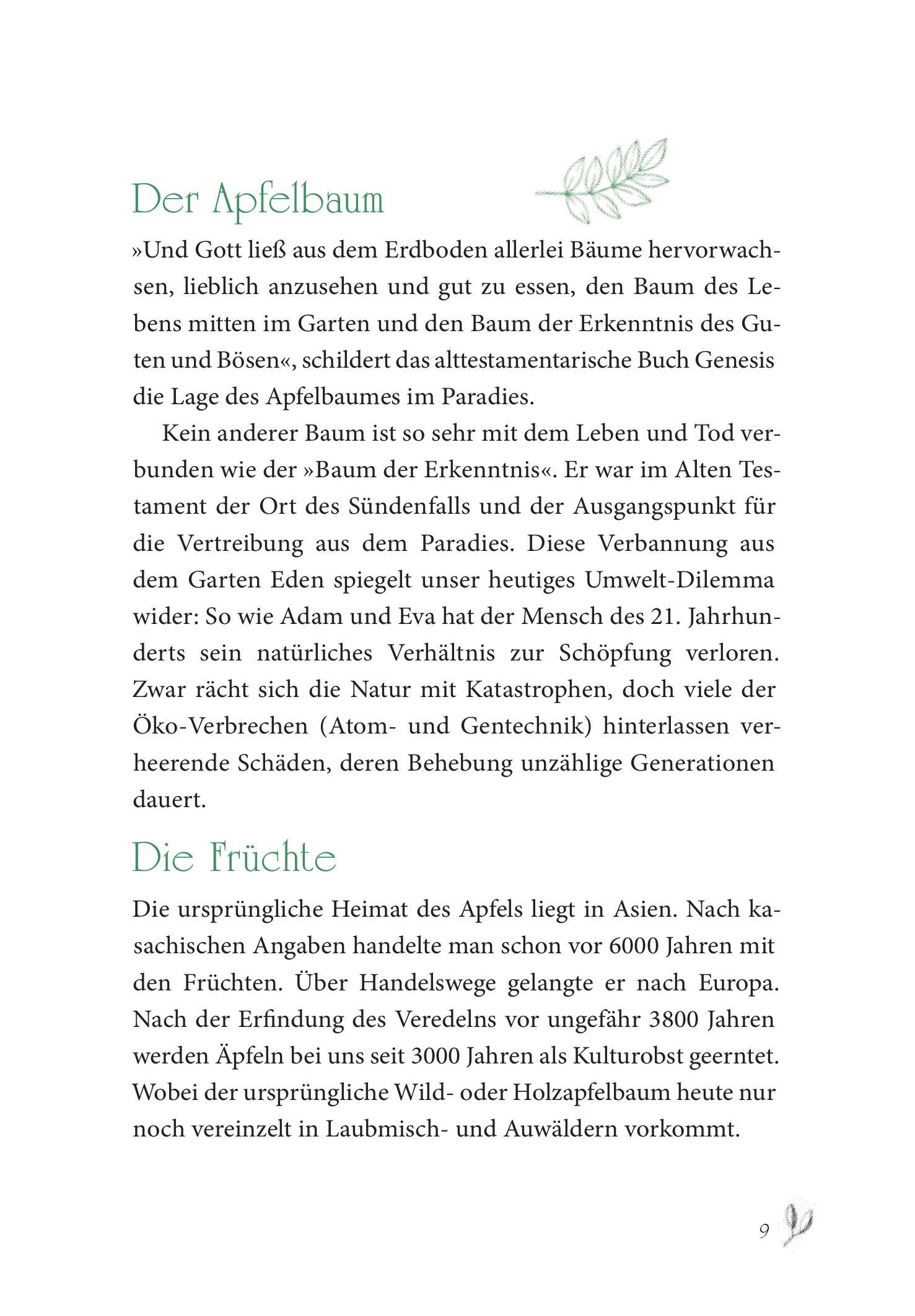Beispielinhalt (Bild) Baumhoroskop der Kelten